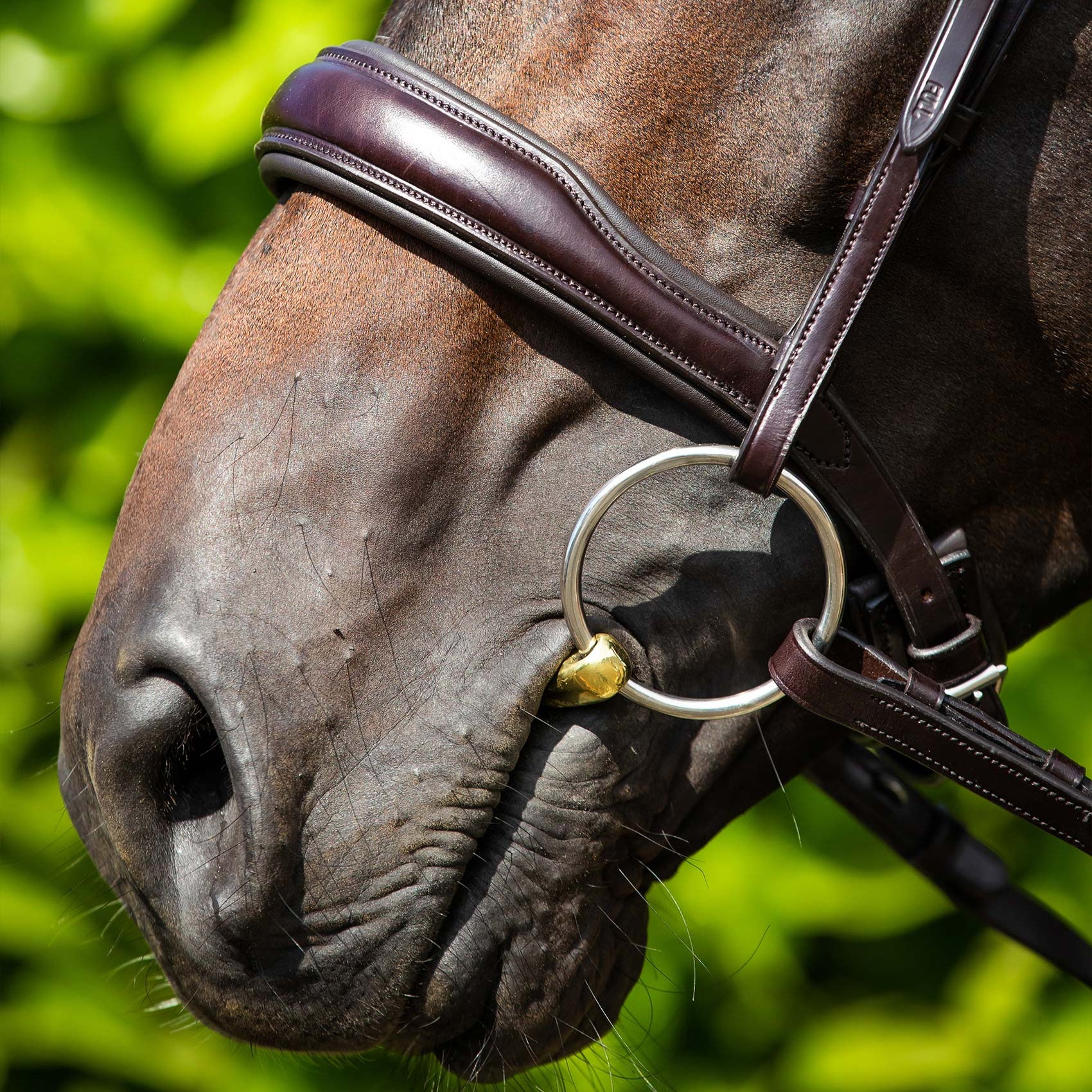 Premier Equine brown leather horse bridle with anatomical snaffle noseband and padded poll piece. Comfortable equestrian equipment.