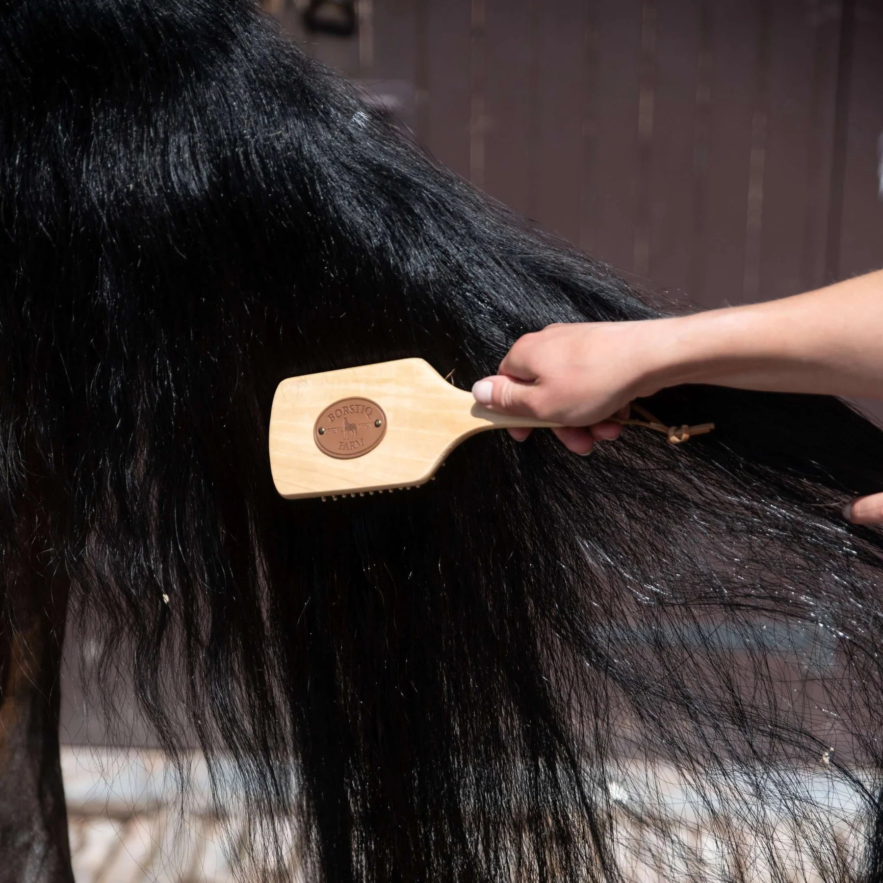 Borstiq horse mane and tail massage brush large from Equiflair - wooden paddle brush for grooming and massaging