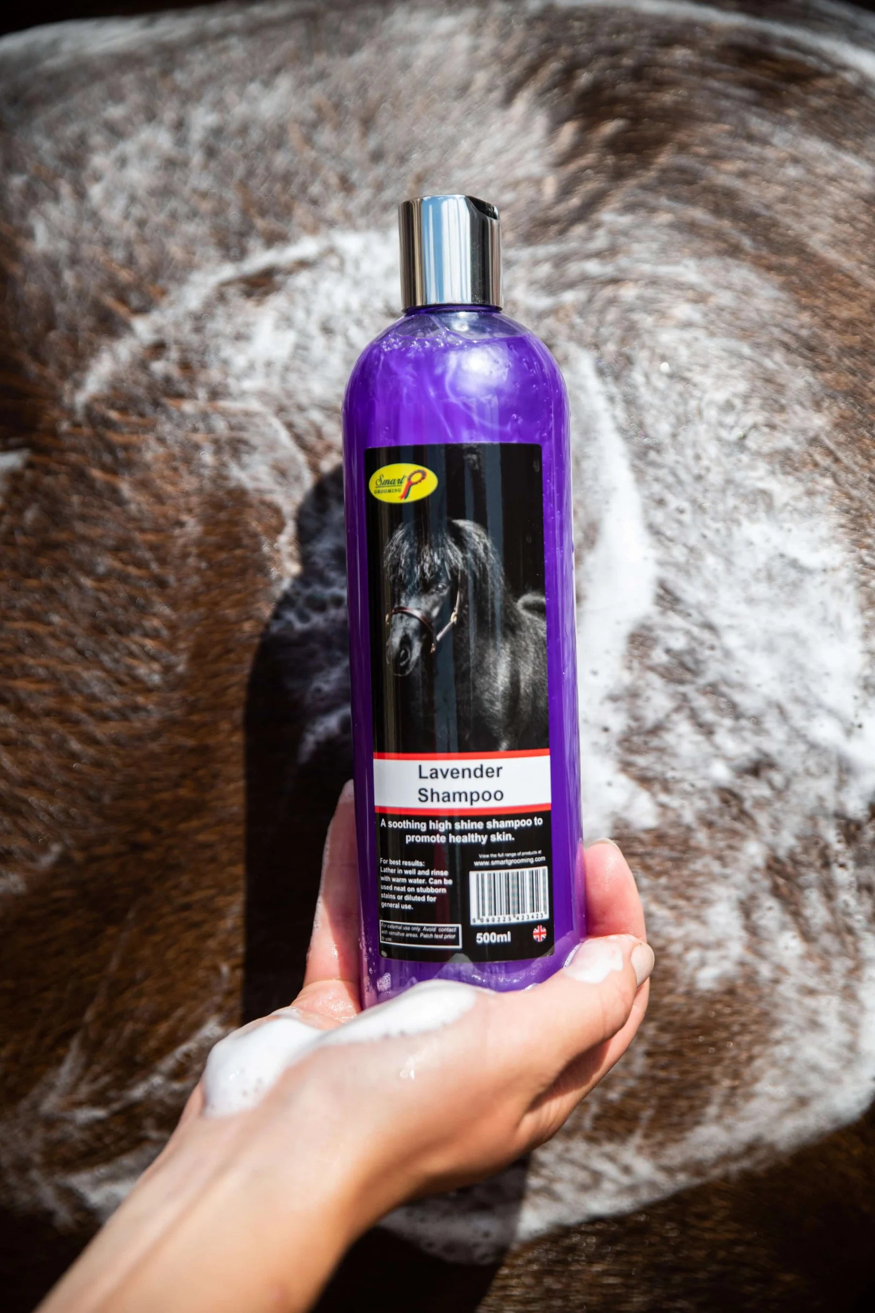 Smart Grooming Lavender Horse Shampoo - Equine Grooming Product for Healthy Skin & Shine