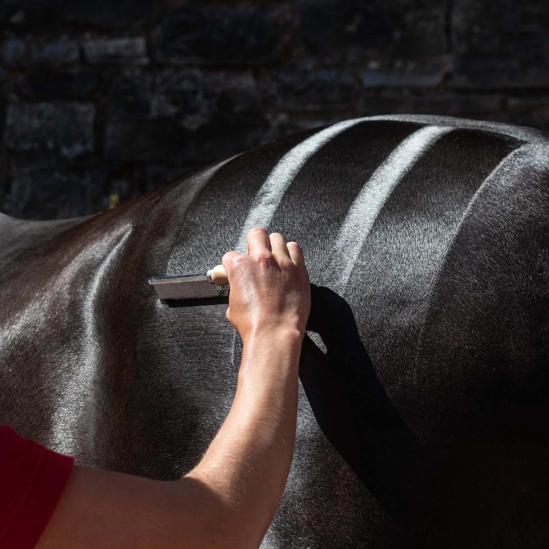 Hunter Marks Grooming Comb - Equiflair: Creating Quarter Marks on a Horse