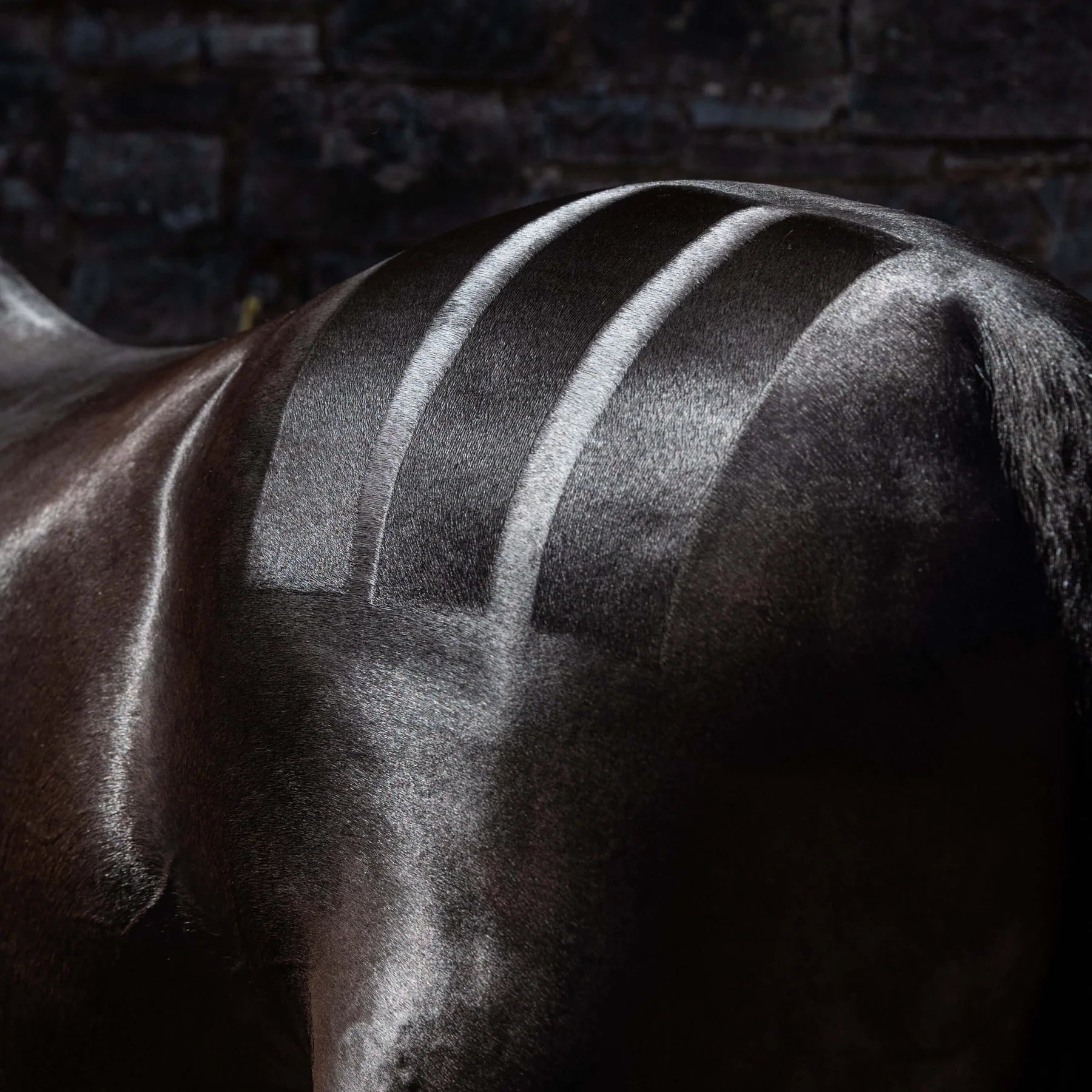 Hunter Quarter Marks Comb: Smart Grooming Tool for Horses - Show Ready Grooming