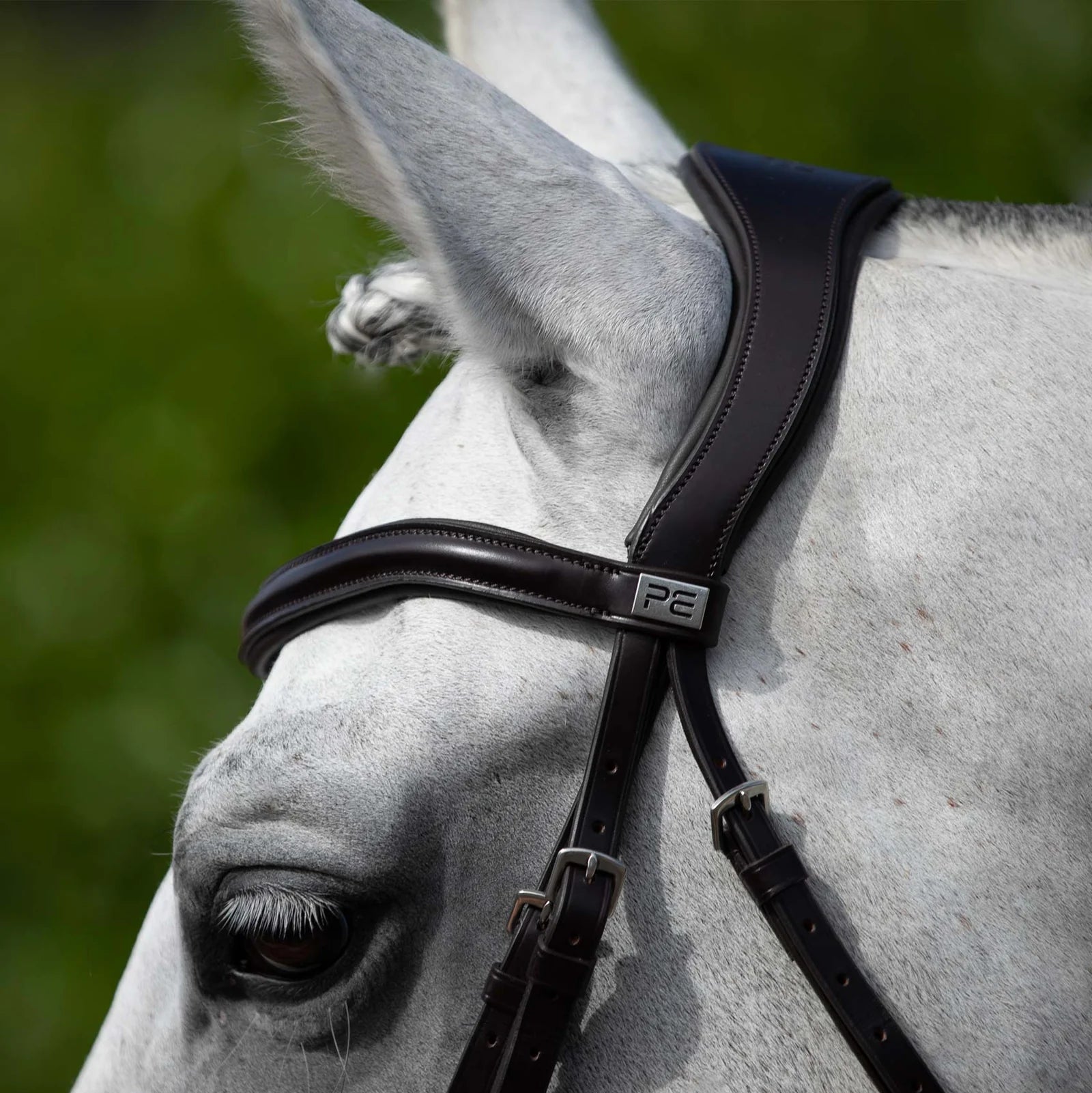 Premier Equine Rizzo Brown Snaffle Bridle on Gray Horse: Anatomic horse tack bridle.