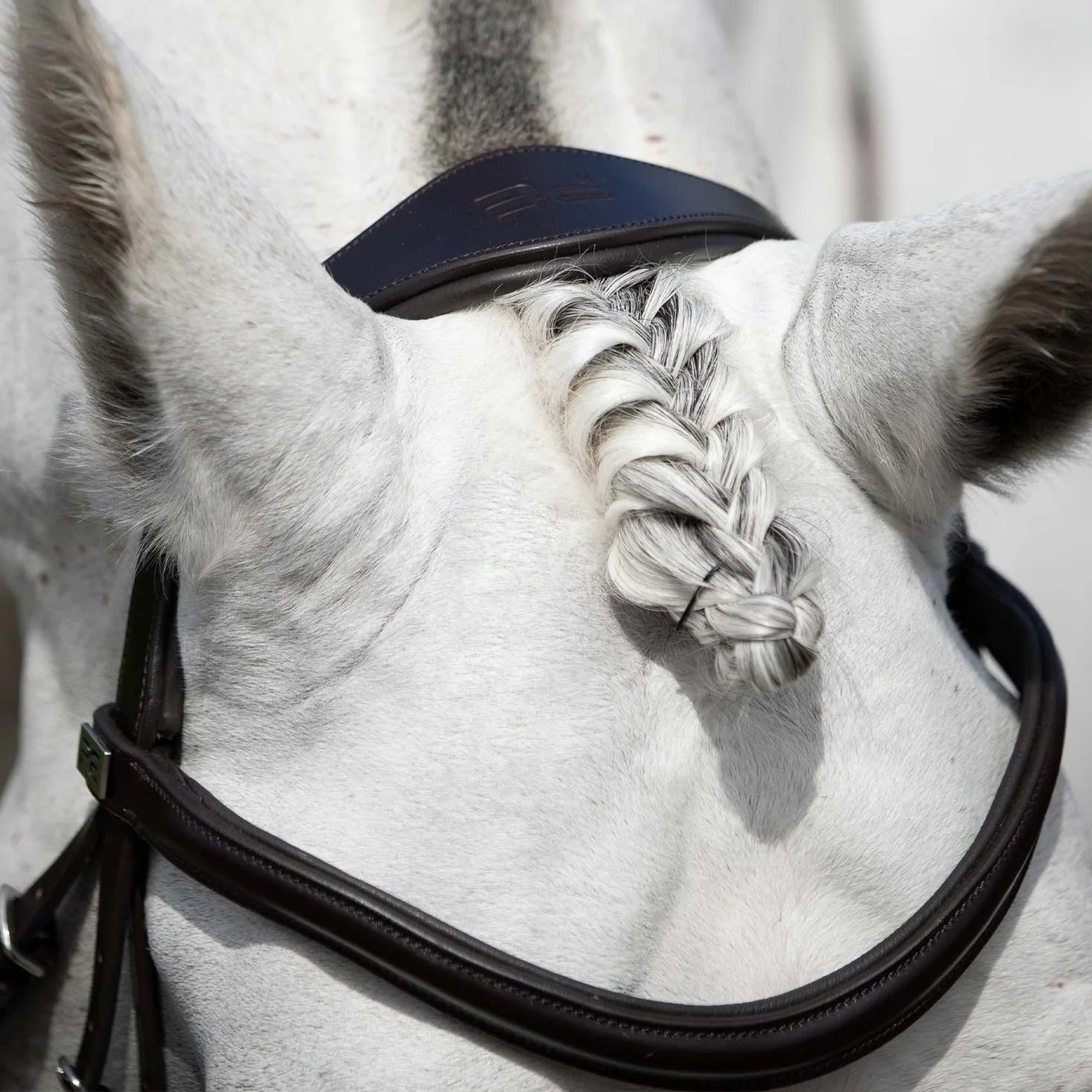 PREMIER EQUINE Anatomical Snaffle Bridle - Close-up of Horse Head with Brown Leather Bridle, Braided Forelock, Equestrian Product