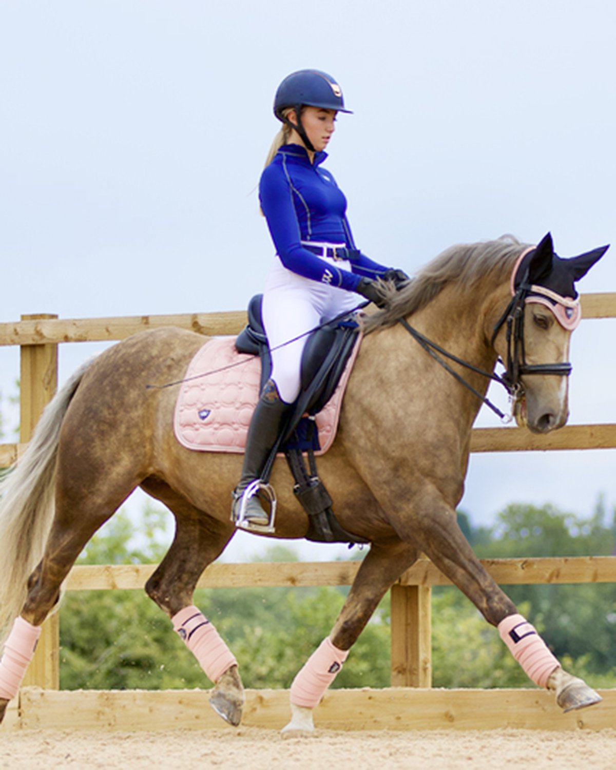 Horse wearing Woof Wear Vision Polo Bandages in Rose Gold | Equestrian Equipment
