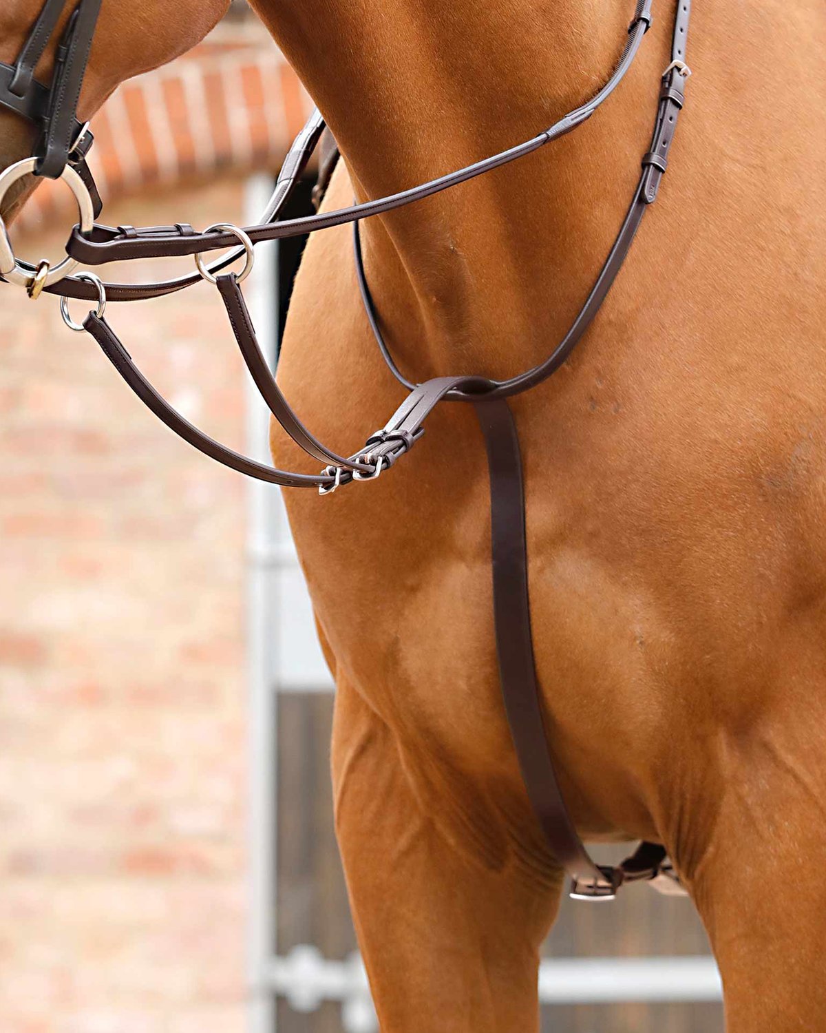 Premier Equine Santadi Adjustable Running Martingale Brown