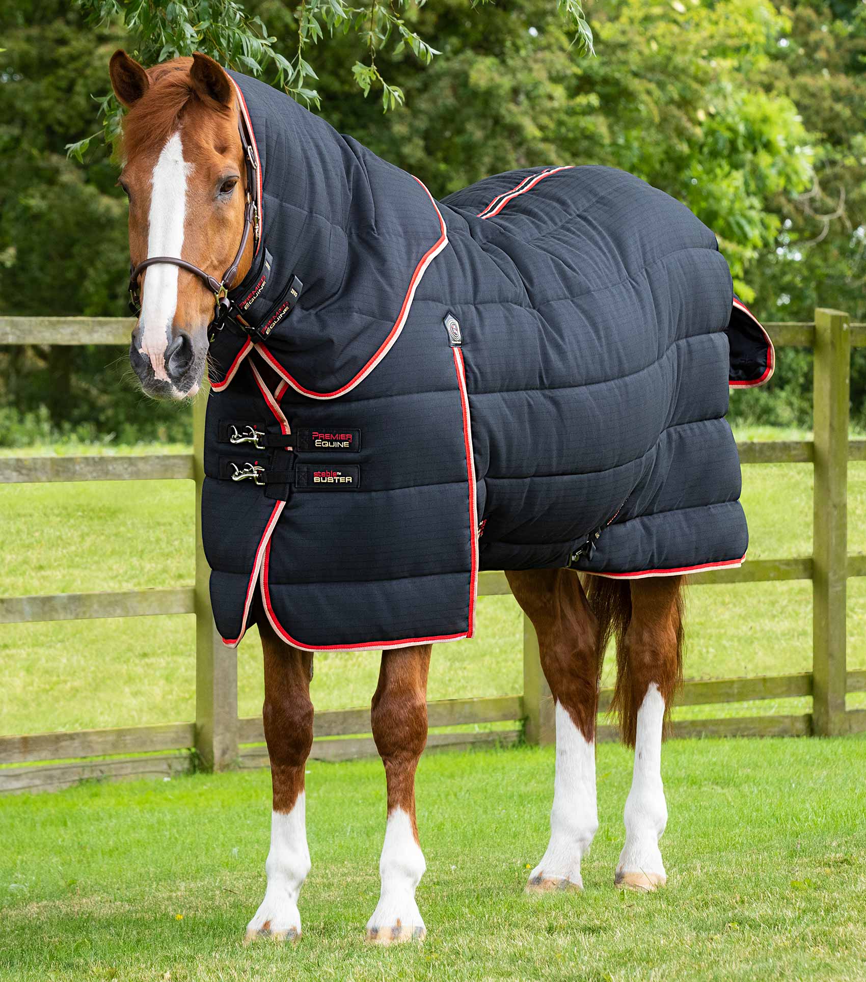 Horse wearing Premier Equine Stable Buster 450g rug with neck cover, black insulated blanket.