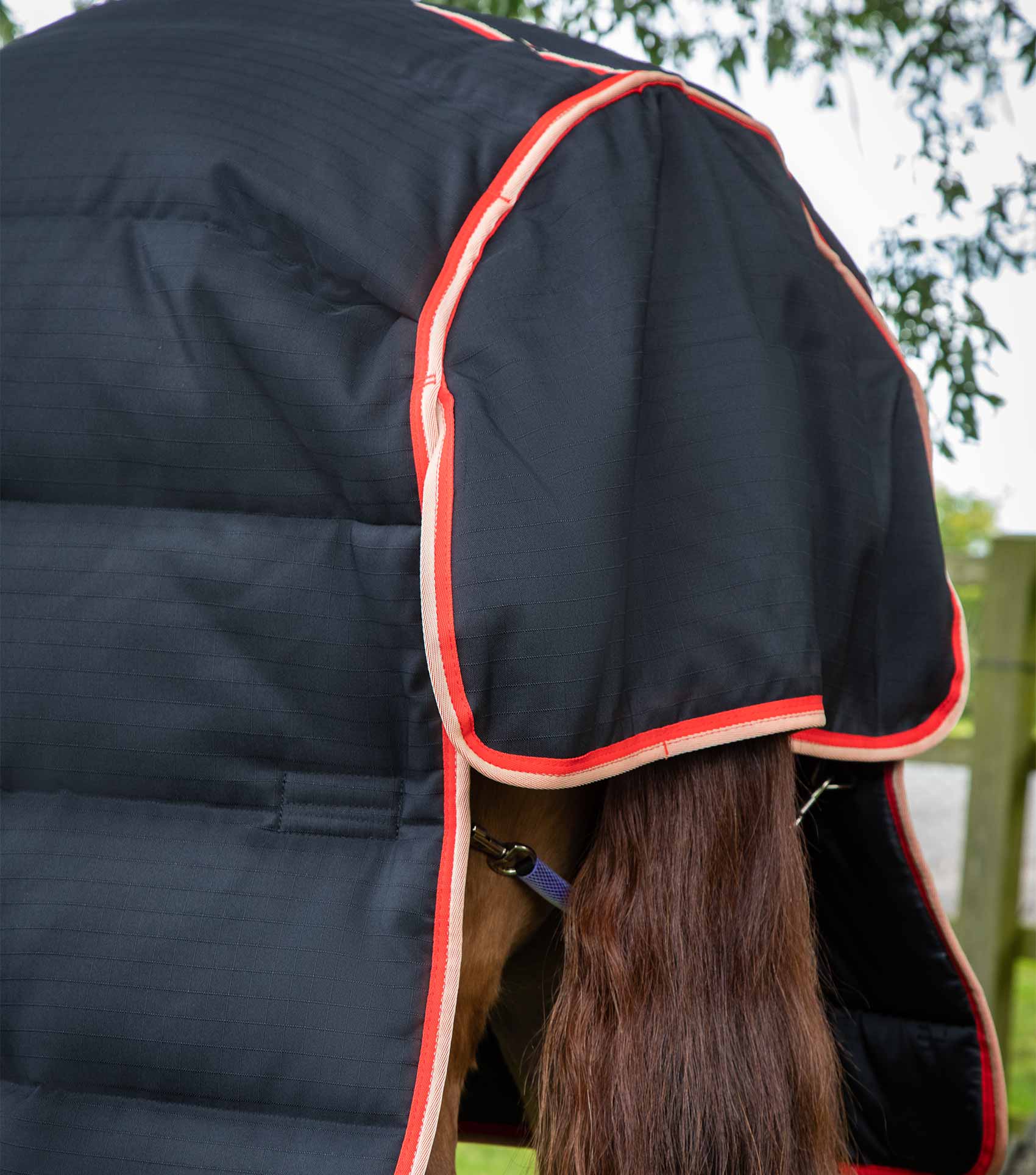 Premier Equine Stable Rug Black - Horse Stable Buster 450g with Neck Cover