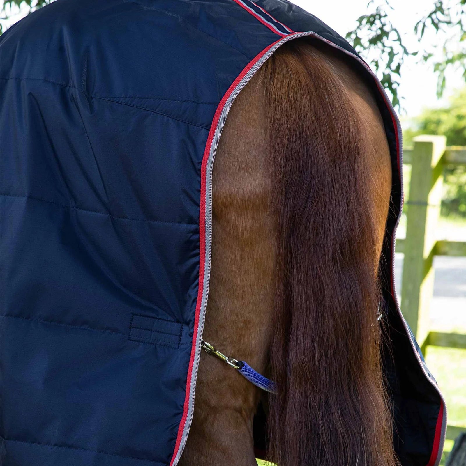 Horse in Premier Equine Buster Lite Navy Stable Rug. Quilted design, tail strap.