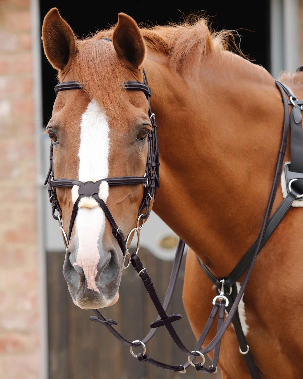 PREMIER EQUINE Stefano Brown Rubber Reins - Horse Riding Grip & Control with Leather Martingale Stoppers & Stainless Steel Buckles