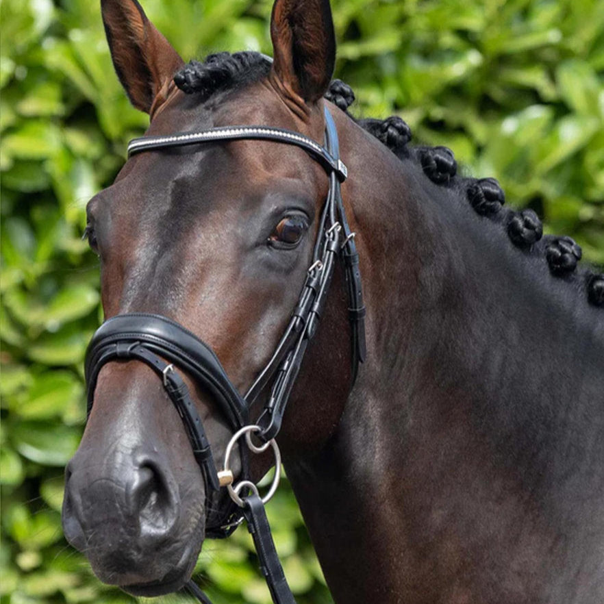 Premier Equine Stellazio Anatomic Snaffle Bridle with Flash Black: Italian leather, anatomical design.