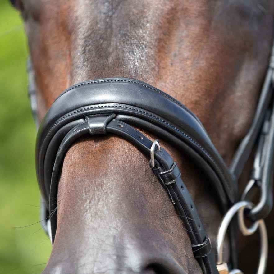 Premier Equine Stellazio Anatomic Snaffle Bridle with Flash Black