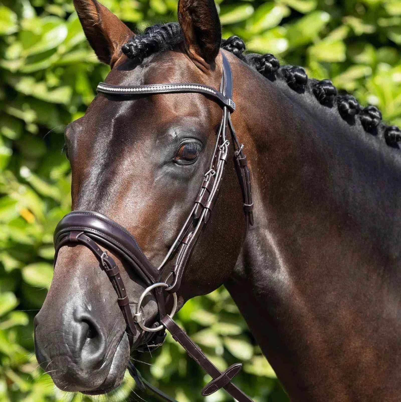 Premier Equine Stellazio Anatomic Snaffle Bridle with Flash Brown