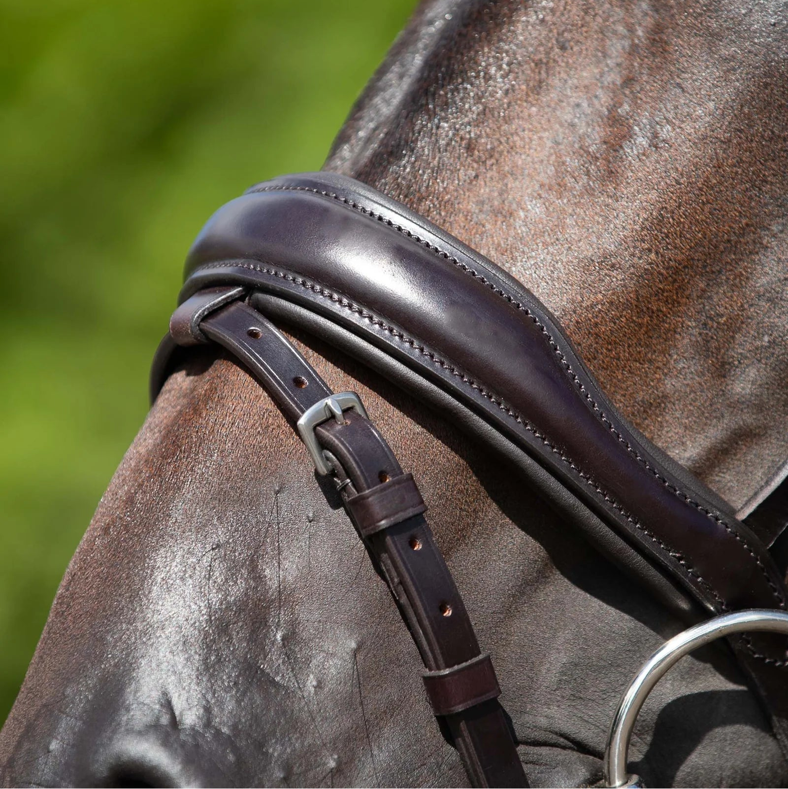 Anatomical Leather Snaffle Bridle for Horses - Equiflair, Brown Leather Horse Bridle