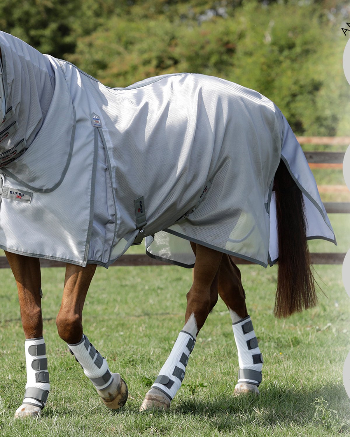 PREMIER EQUINE SUPER LITE FLY RUG in Silver, Equiflair Store - Horse wearing fly rug and leg protection. - Fly Protection…