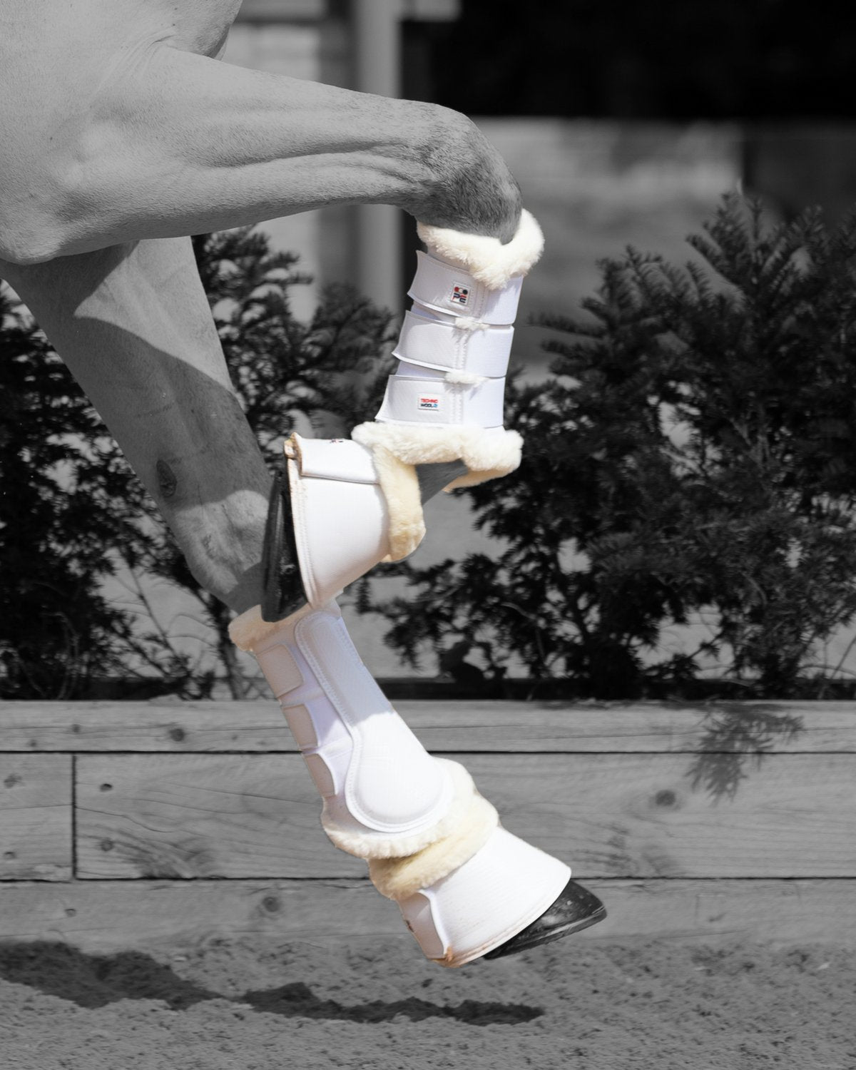 Premier Equine Techno Wool White Horse Brushing Boots for Equestrian Protection & Support