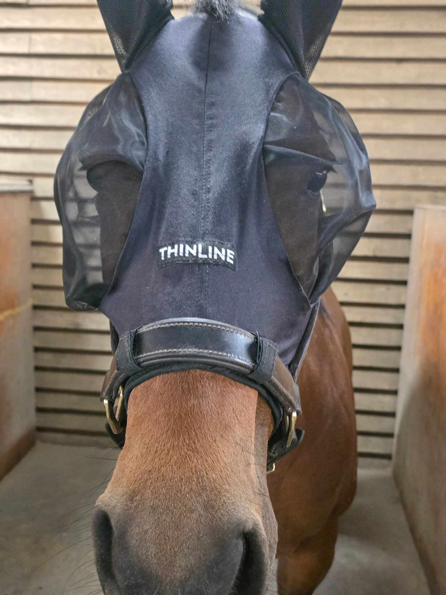 ThinLine SoftFit Fly Mask