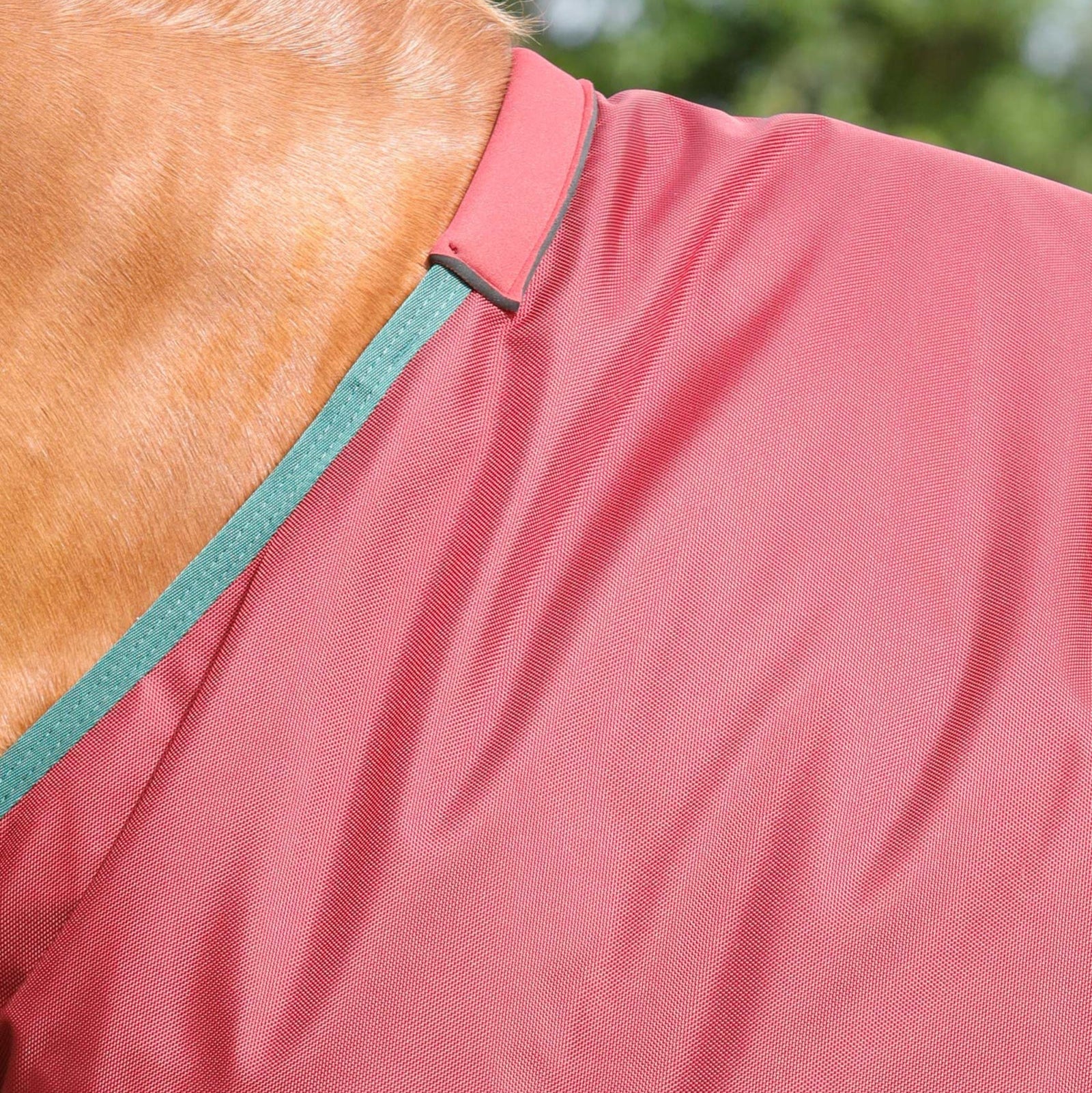 Horse wearing burgundy Premier Equine Titan 100g turnout rug - waterproof & breathable.