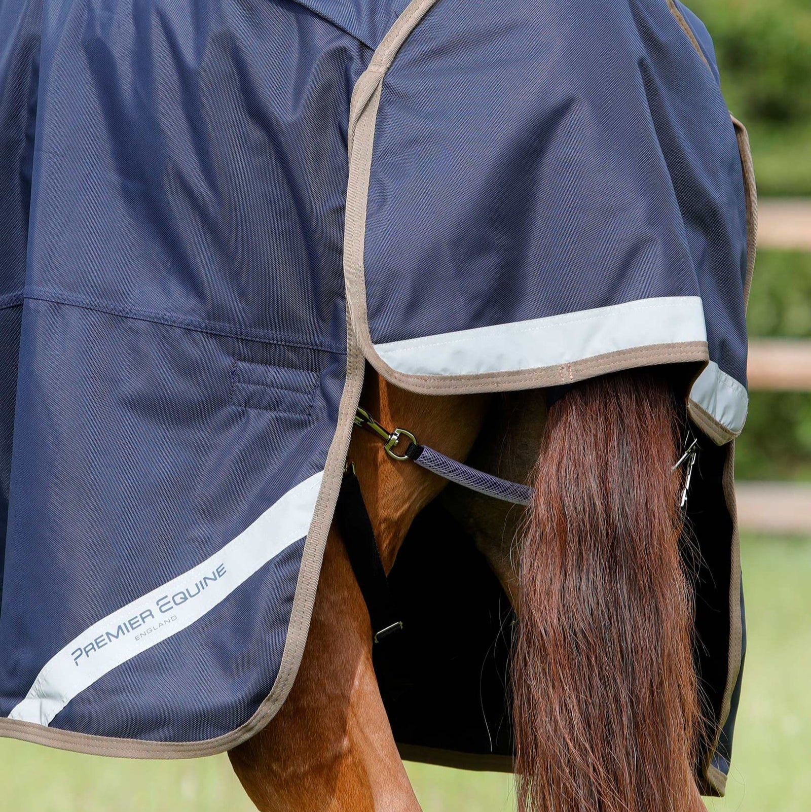 Premier Equine Titan 100g Original Turnout Rug in Navy on Horse. Lightweight horse rug.