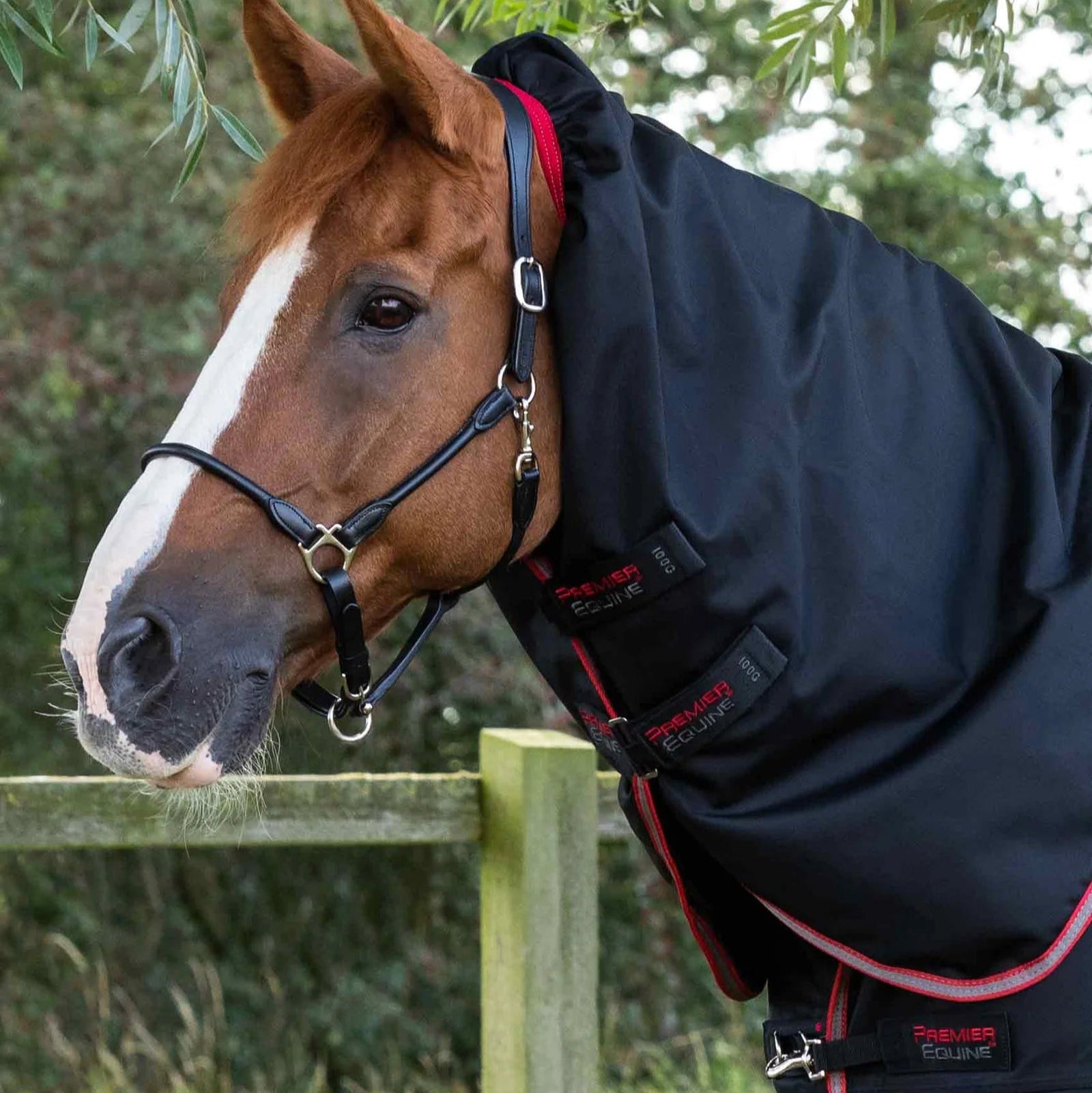 Premier Equine Titan 100g Horse Turnout Rug with Snug-Fit Neck Cover - Black. Waterproof and Breathable Horse Rug.
