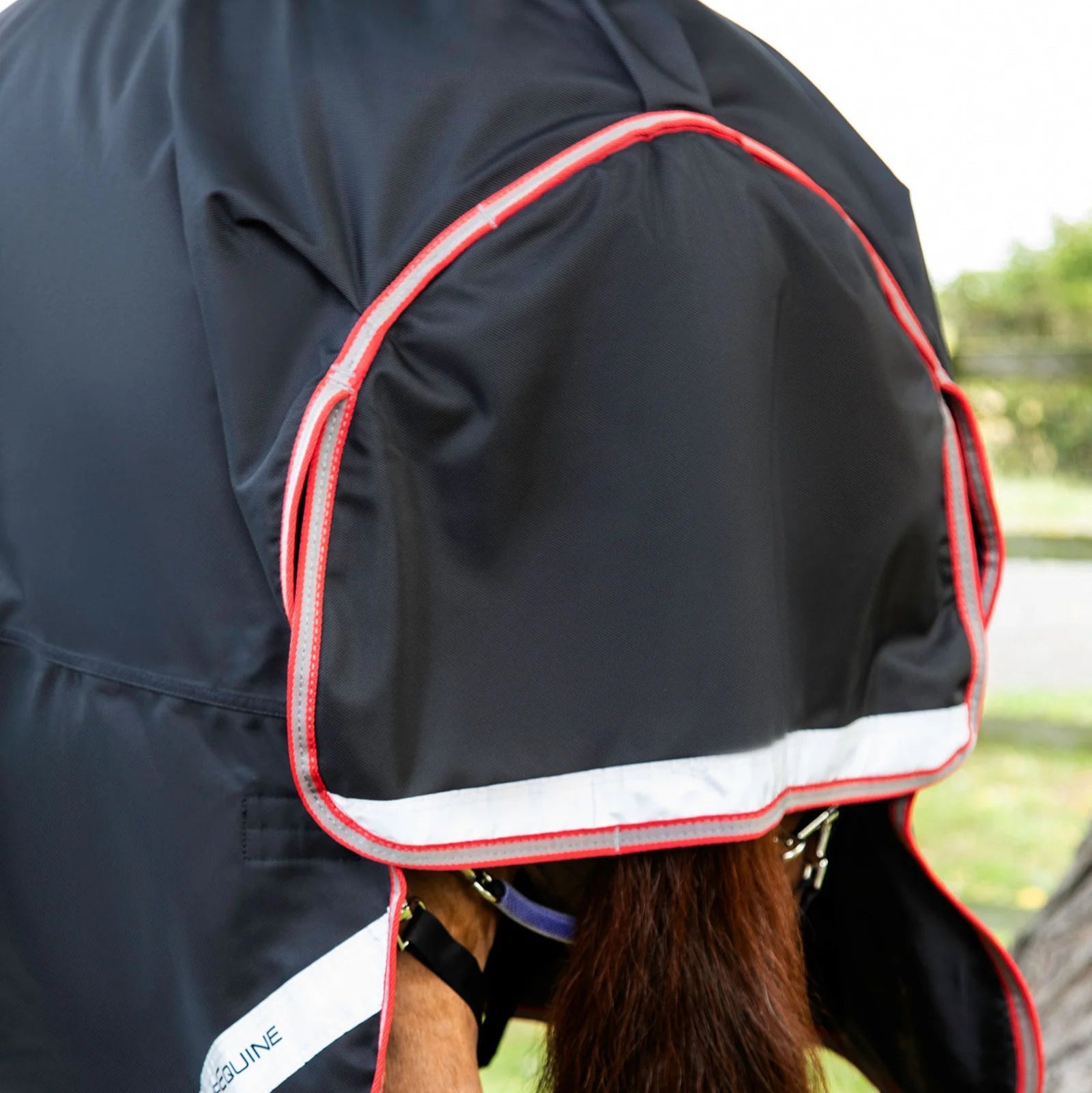 Premier Equine Titan 100g Turnout Rug Black with Snug-Fit Neck Cover - Waterproof & Lightweight Horse Rug