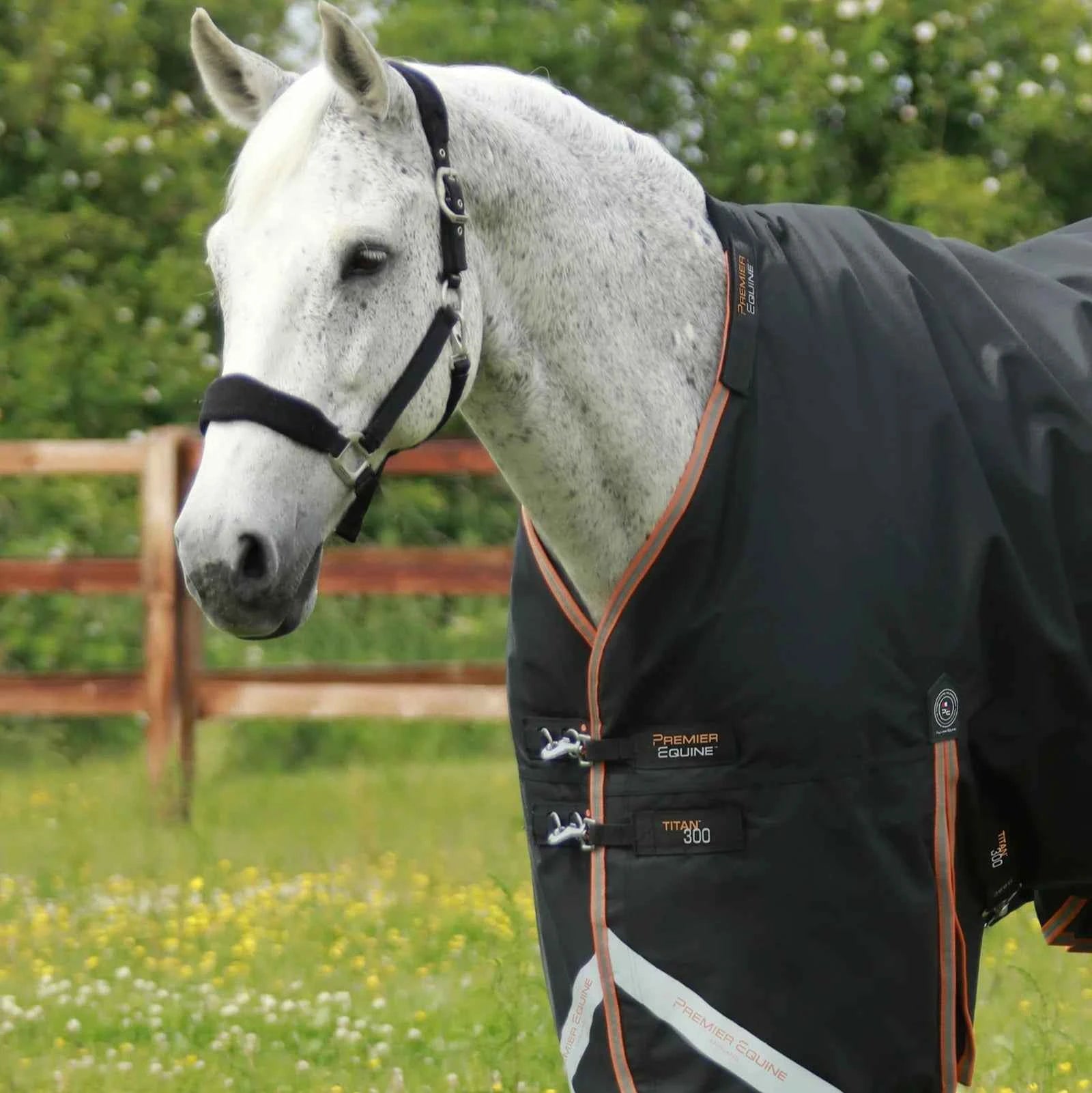 Premier Equine Titan 300g Turnout Rug with Snug-Fit Neck Cover Black