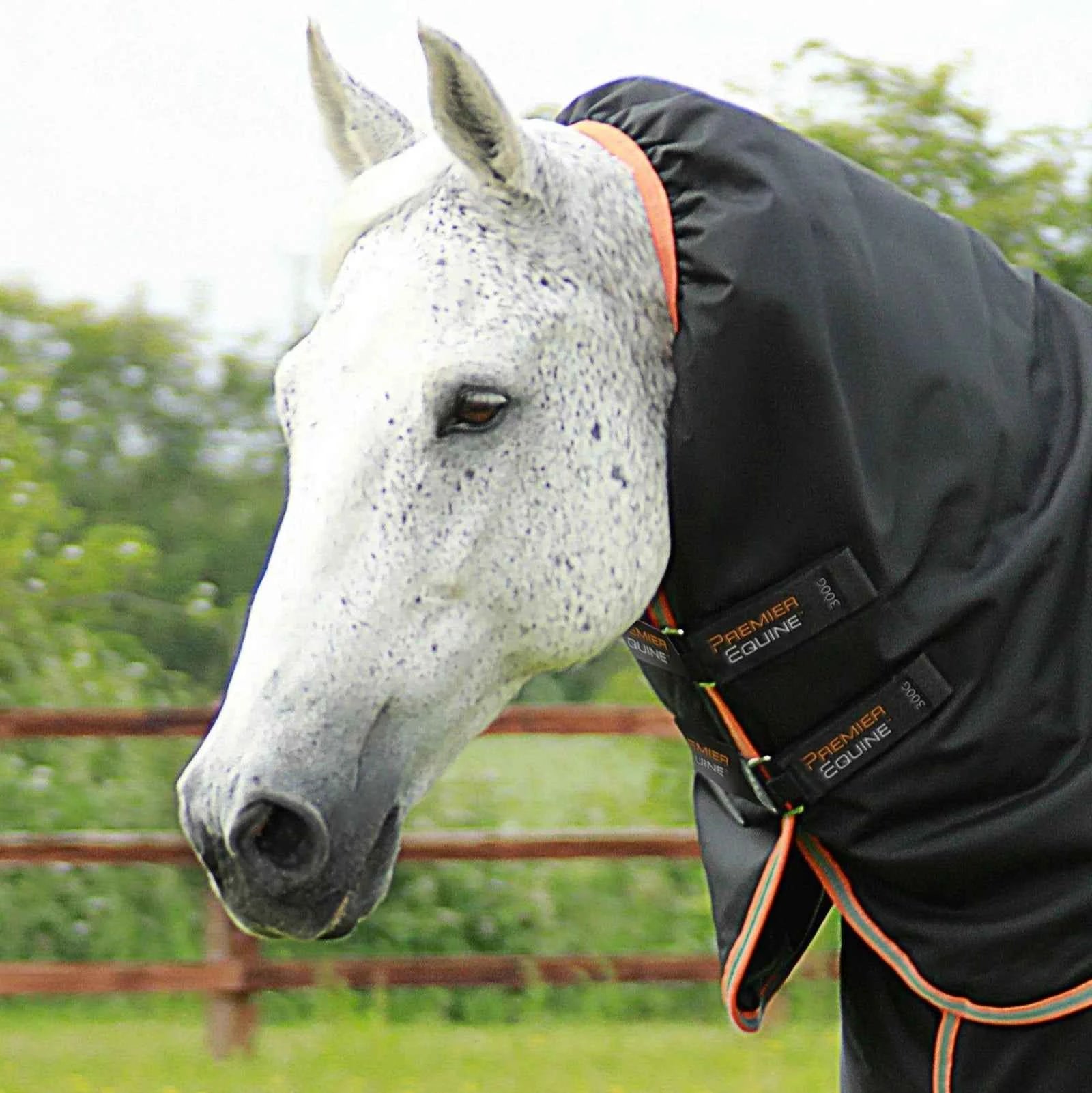Premier Equine Titan 300g Turnout Rug with Snug-Fit Neck Cover Black