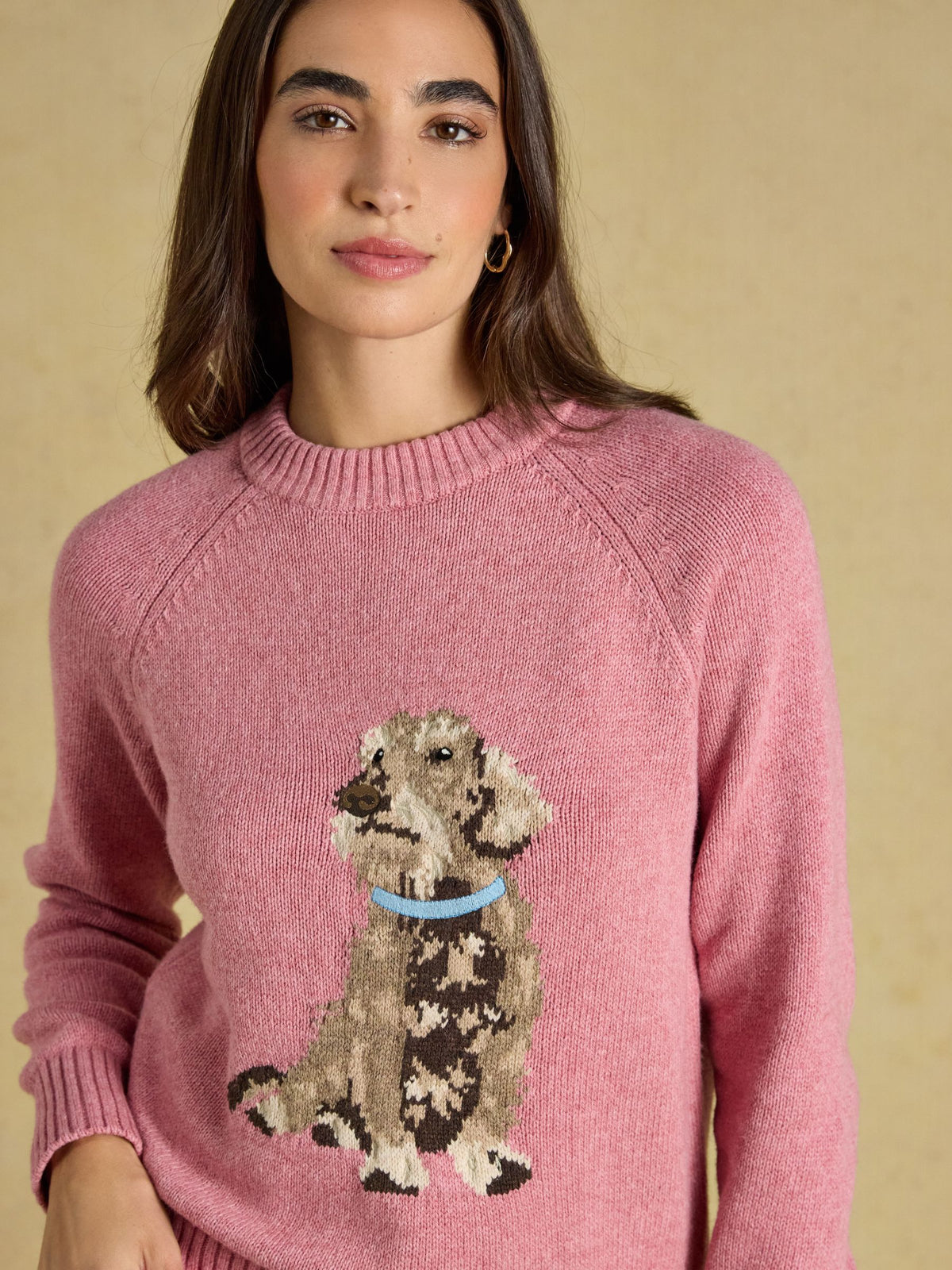 Pink Joules Women's Crew Neck Knitted Jumper with Embroidered Dachshund Dog and Wool Blend