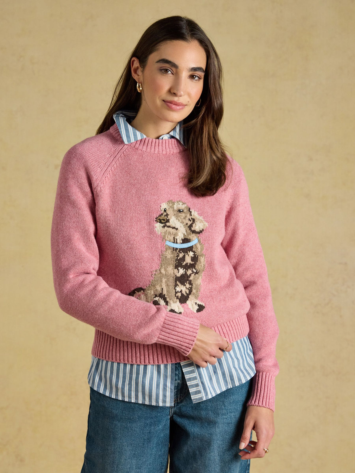 Pink Joules Dachshund Dog Crew Neck Knitted Jumper for Women | Equiflair