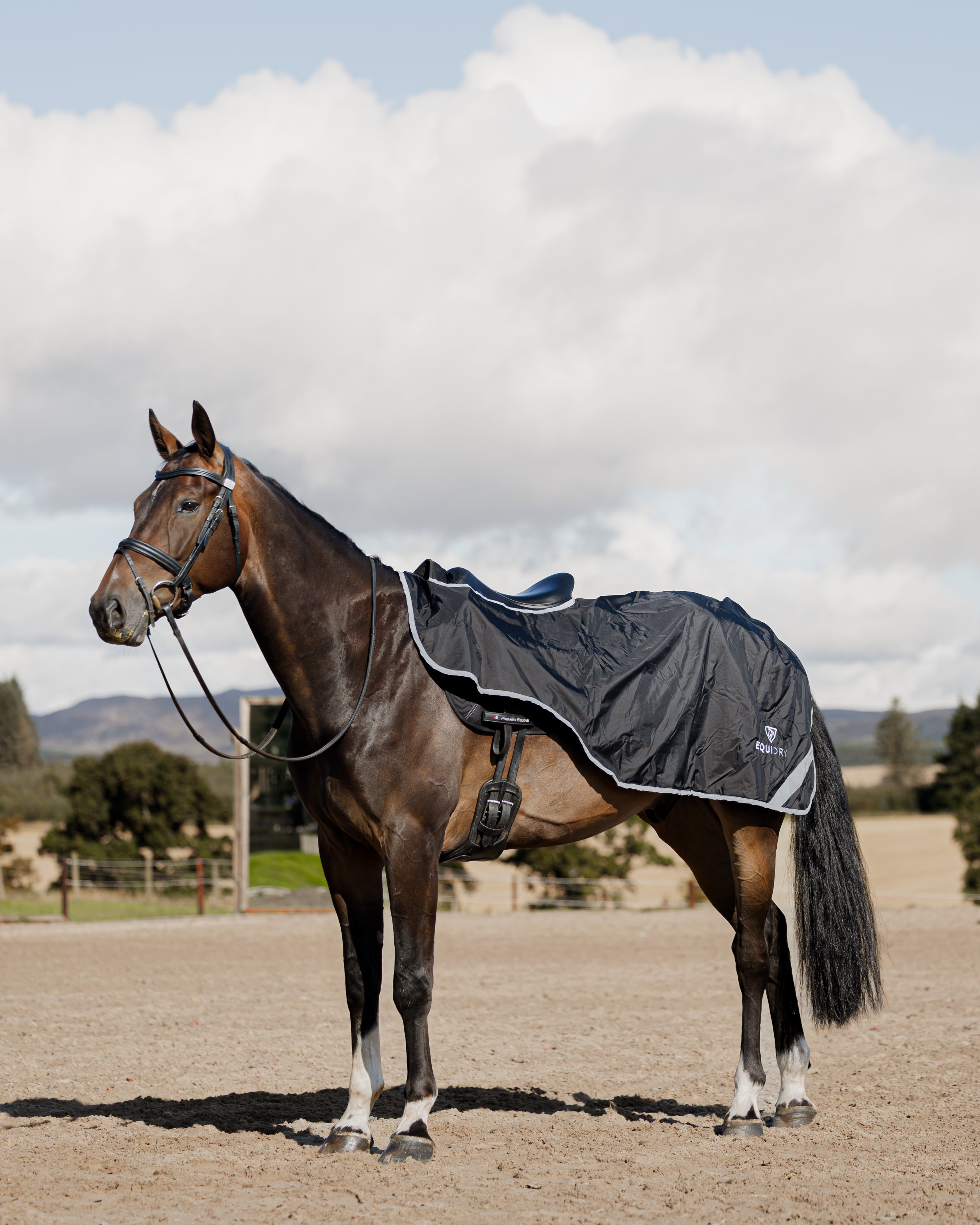 EQUIDRY Waterproof Exercise Sheet Thick Black/Black