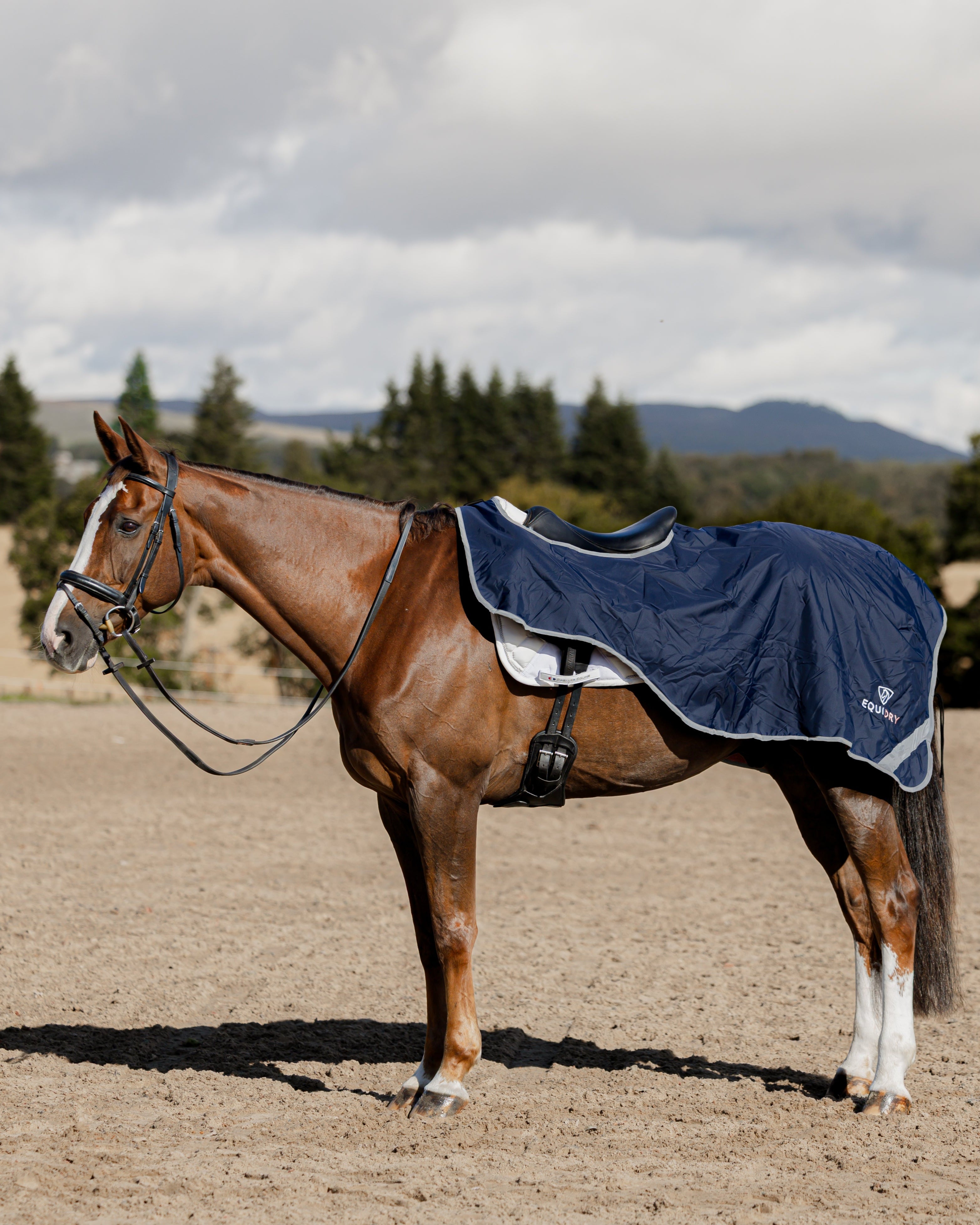 EQUIDRY Waterproof Exercise Sheet Thick Navy/Pale Pink