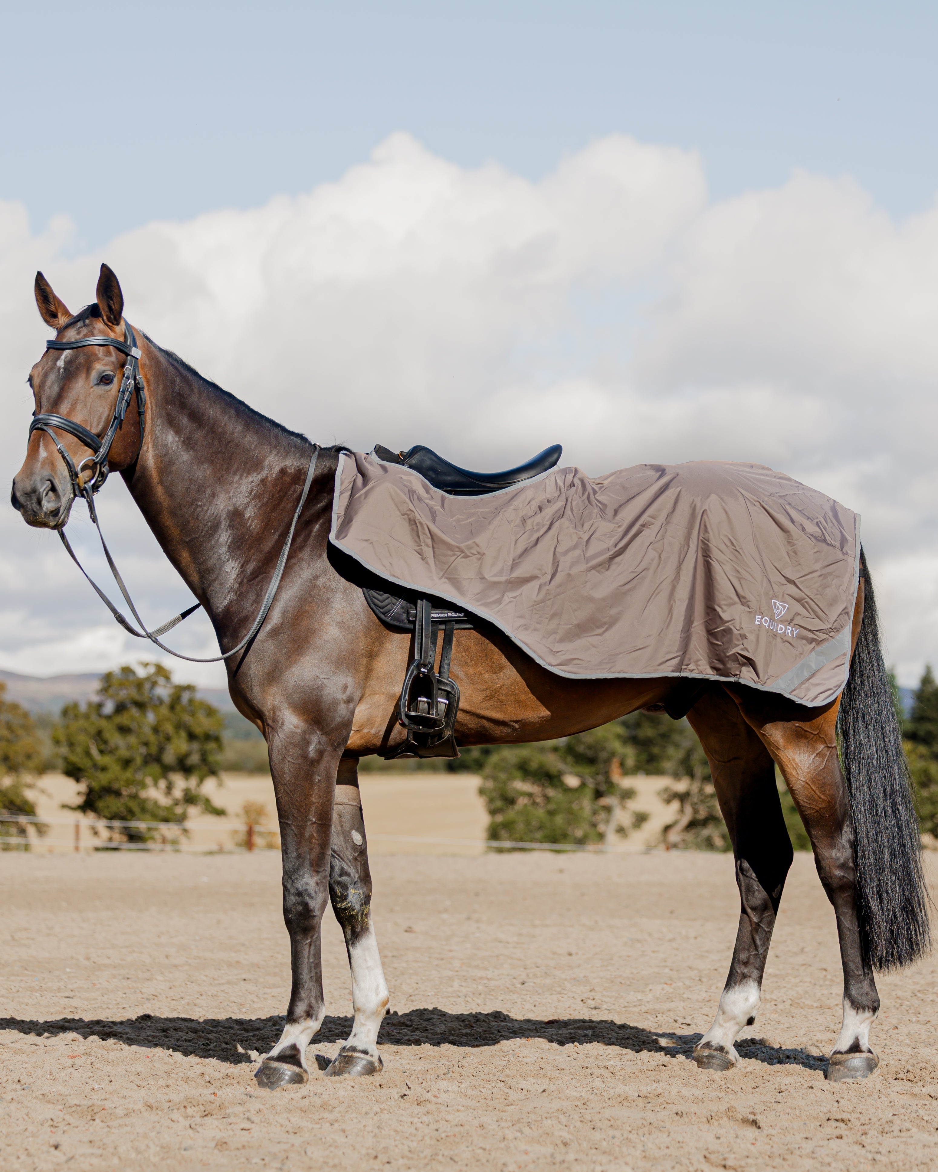 EQUIDRY Waterproof Exercise Sheet Lite Taupe/Grey