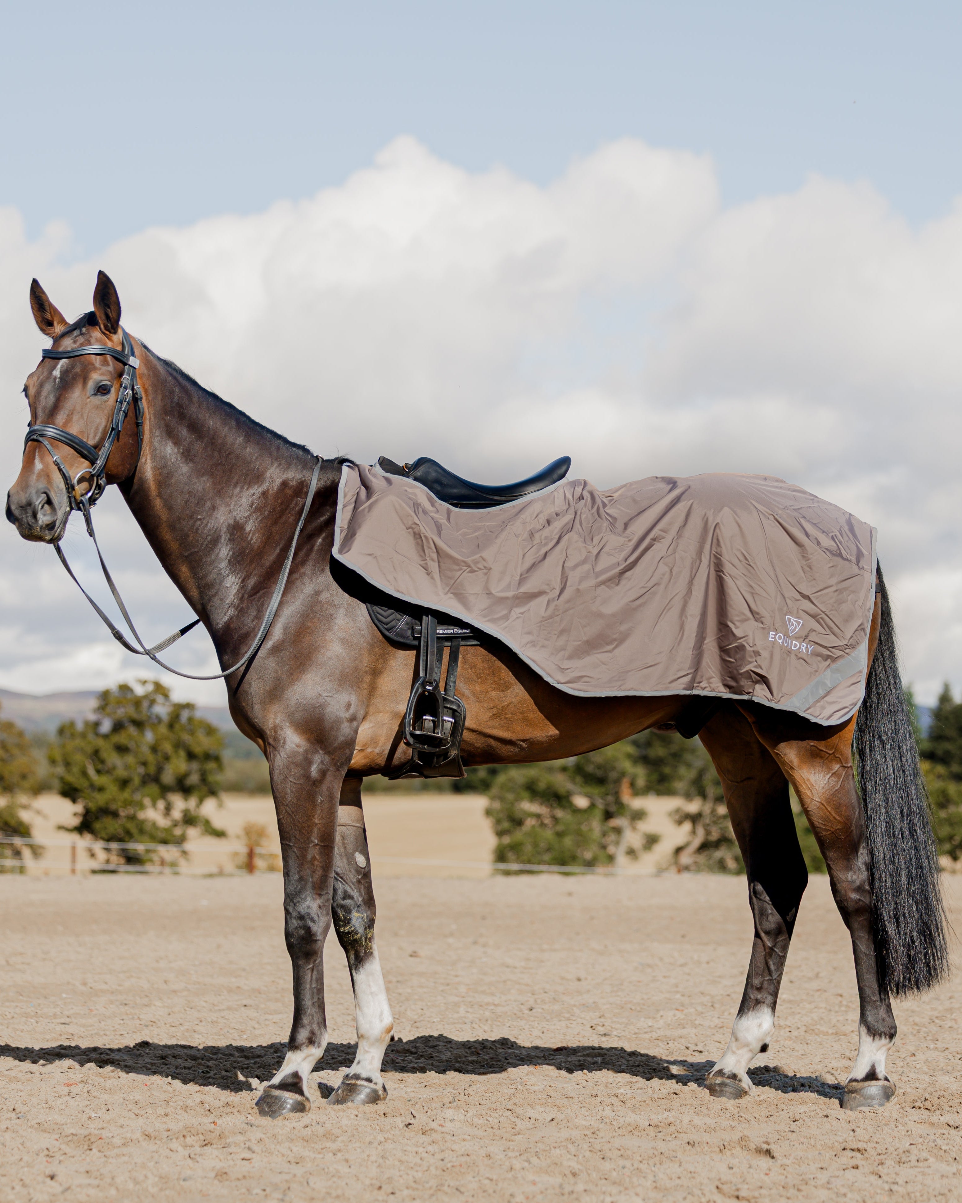 EQUIDRY Waterproof Exercise Sheet Thick Taupe