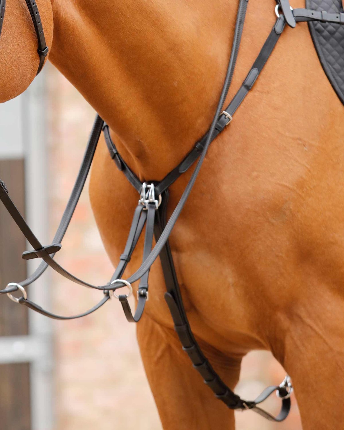 PREMIER EQUINE Valbrona Black Leather Horse Breastplate with Running Martingale | Equestrian Equipment