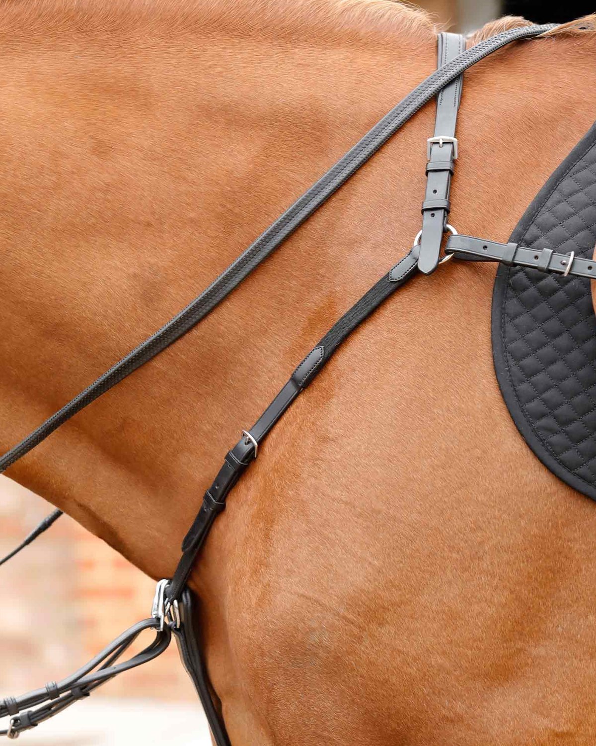 PREMIER EQUINE Valbrona Breastplate: Leather horse breastplate with adjustable martingale strap for secure saddle fit.