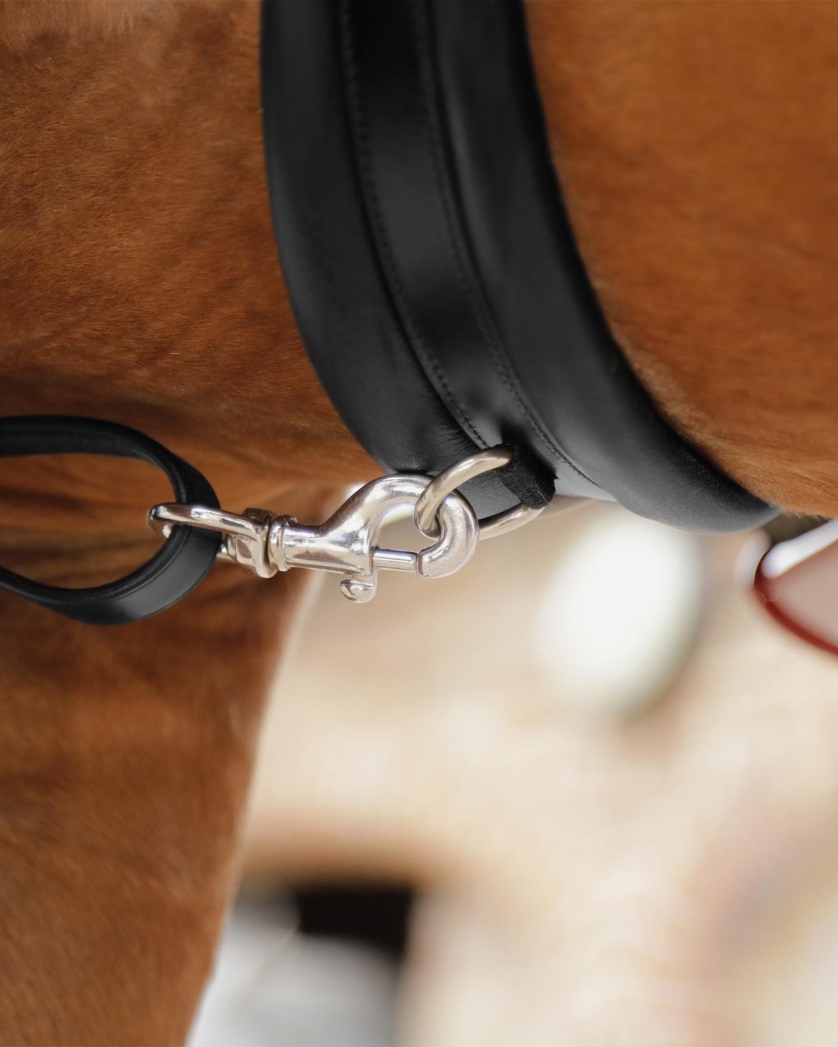 PREMIER EQUINE Valbrona Black Leather Horse Breastplate - Performance Riding Equipment with Martingale Attachment