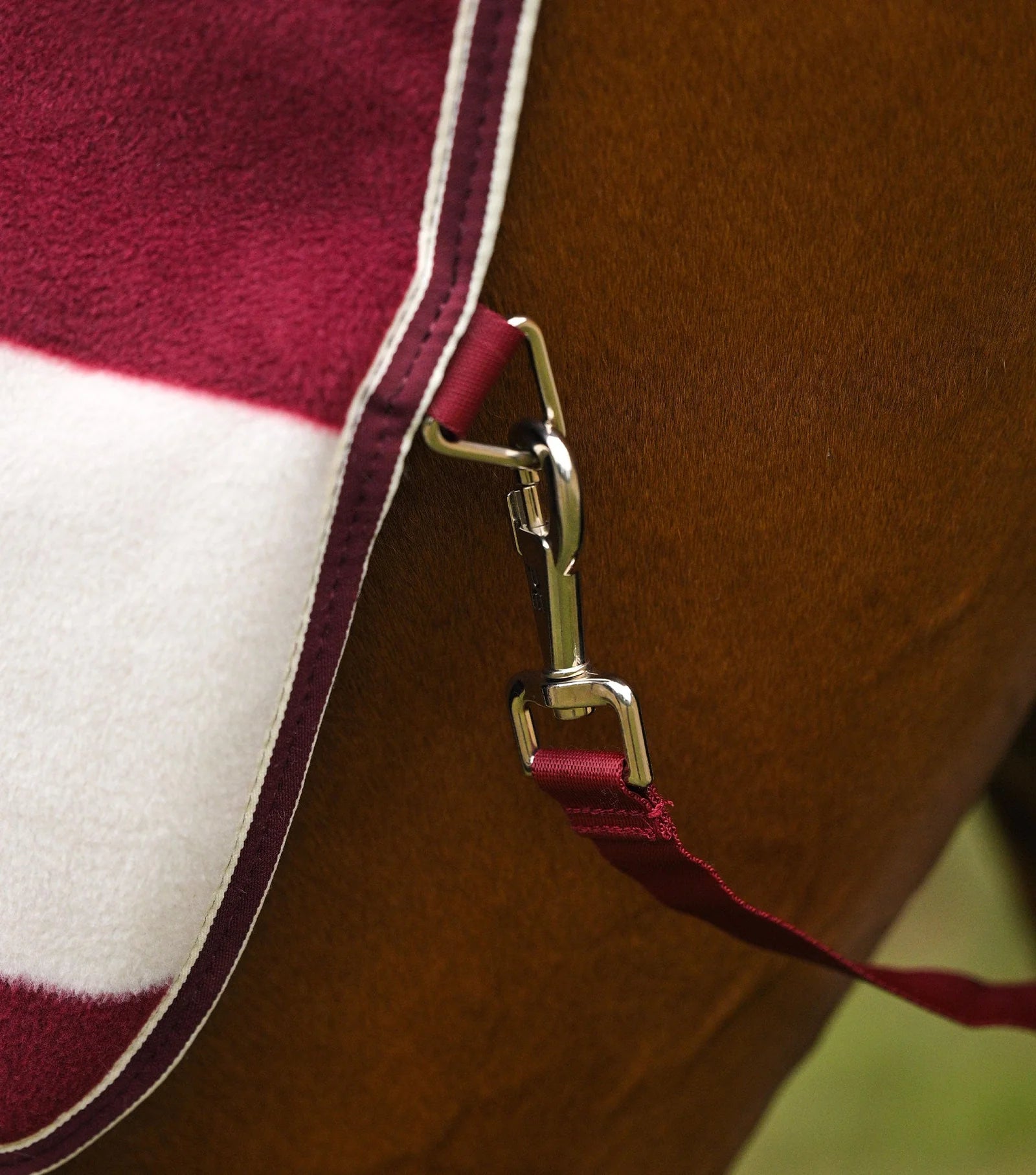 Burgundy and White Horse Fleece Exercise Rug - PREMIER EQUINE VELLUS Fleece Exercise Rug. Horse wearing Burgundy/White horse blanket
