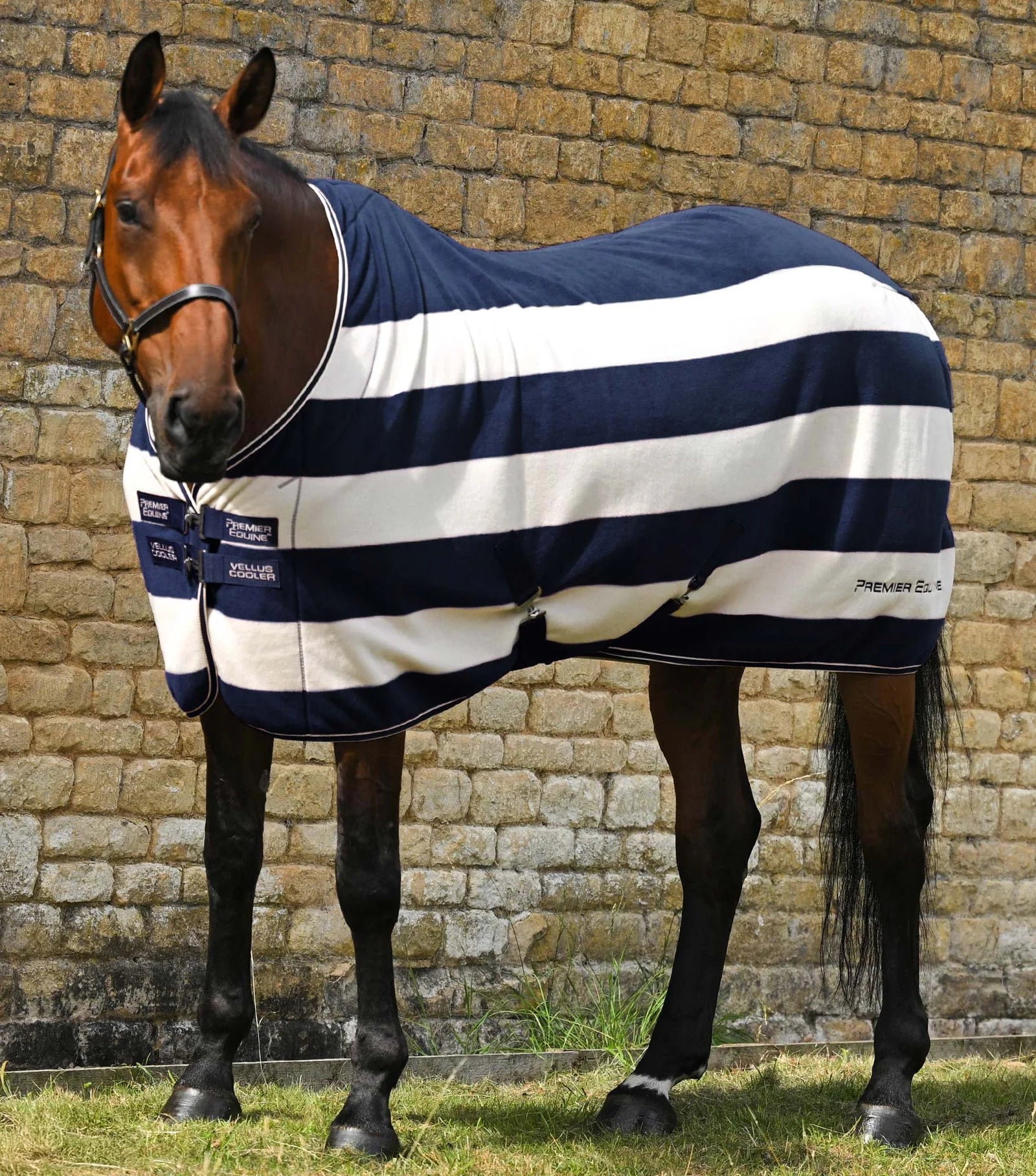 Premier Equine Navy/White Striped Horse Fleece Rug - Vellus Cooler Rug. Equiflair