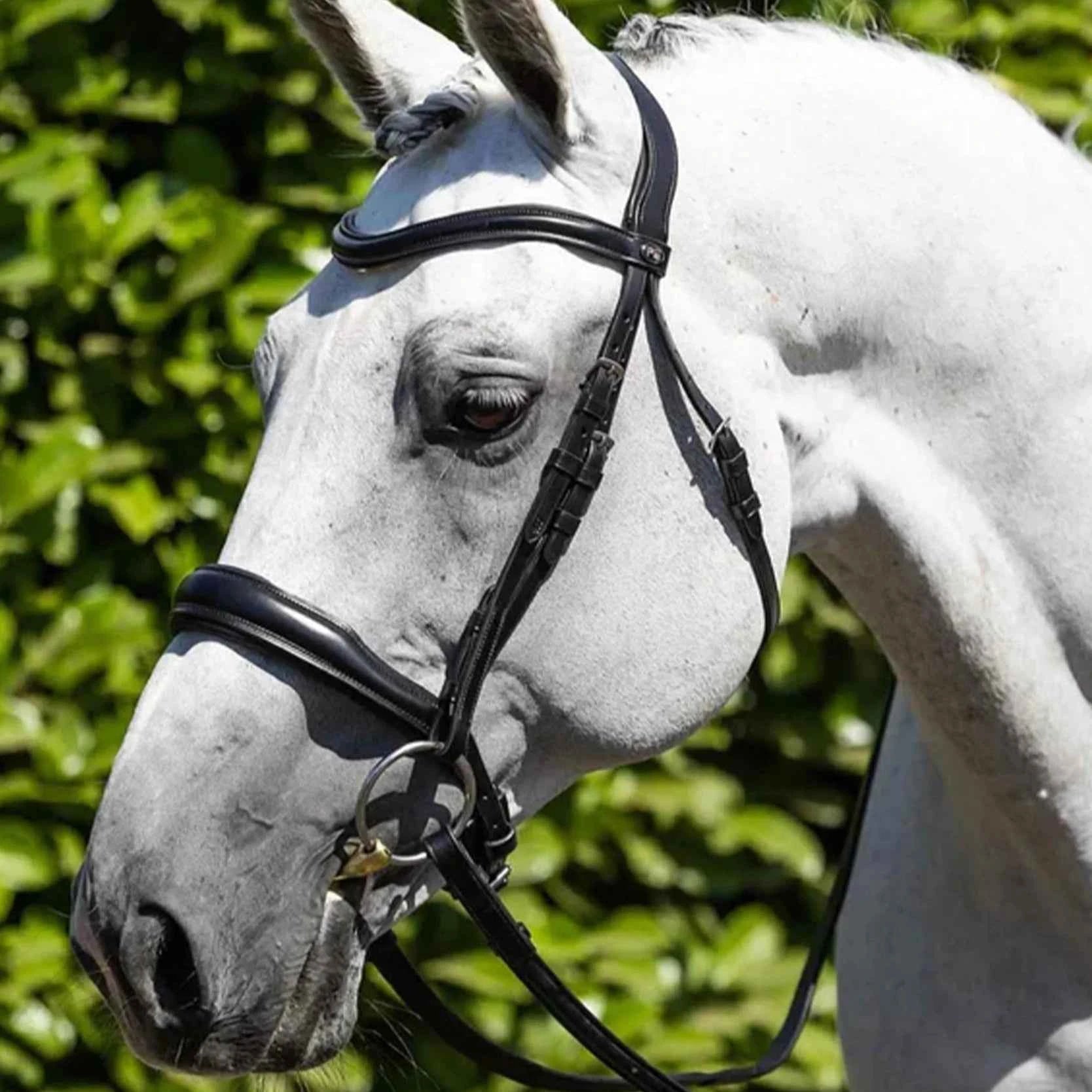 Premier Equine Verdura Anatomic Snaffle Bridle Black