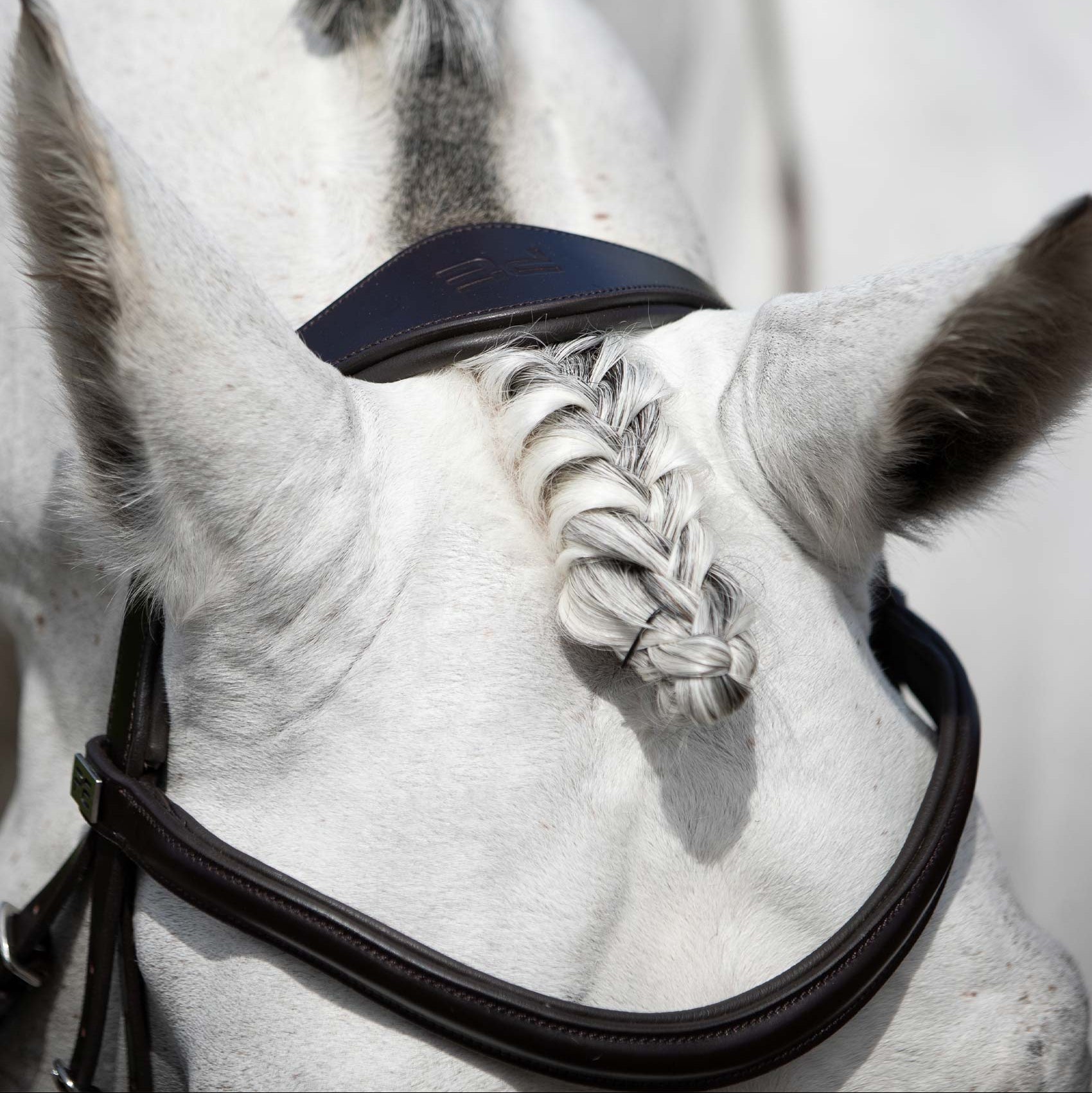 White horse with Premier Equine Verdura anatomic snaffle bridle & braided forelock. Equestrian equipment.