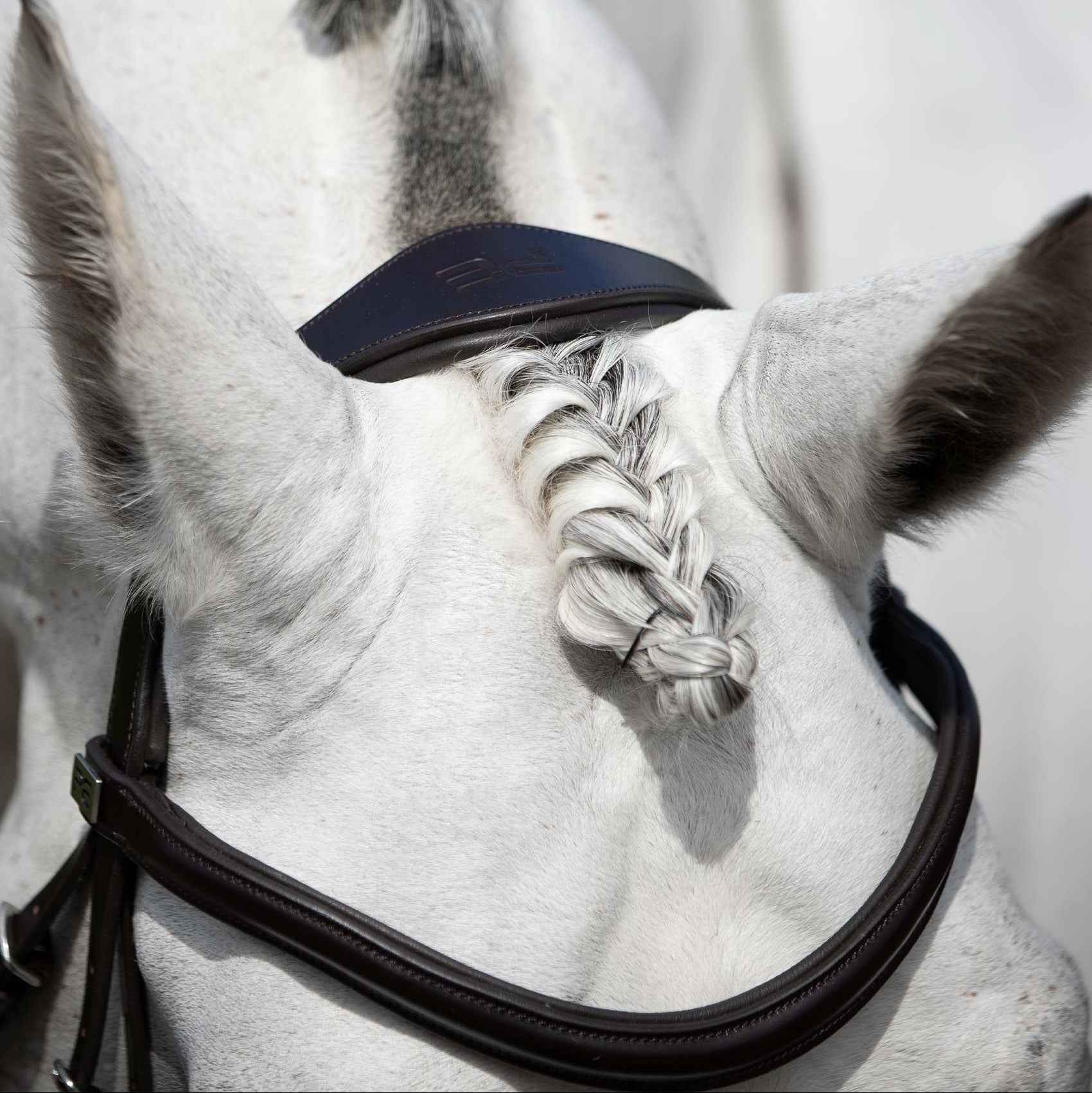 Premier Equine Verdura Anatomic Snaffle Bridle Black