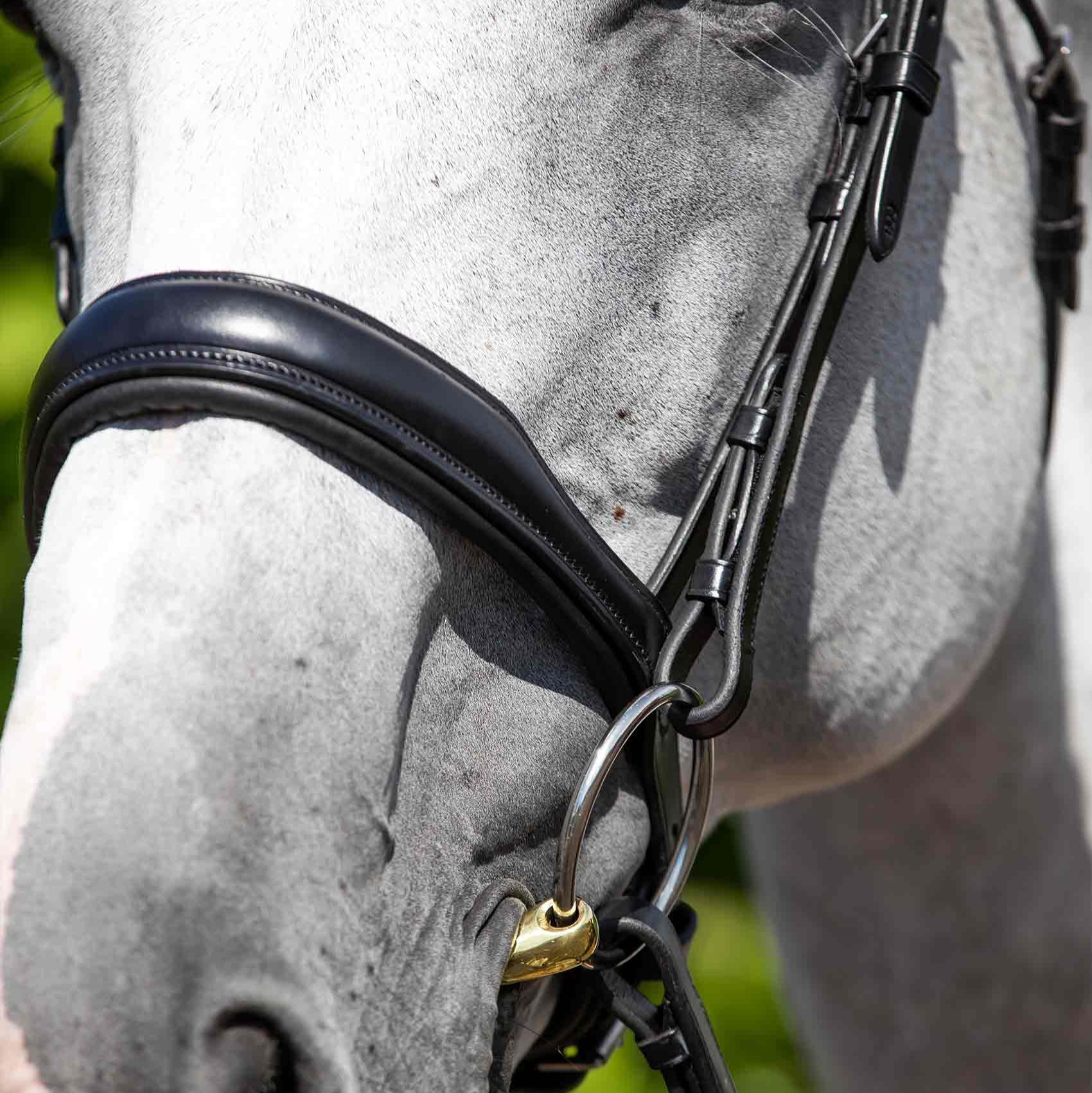 Premier Equine Black Anatomical Horse Bridle: Leather Snaffle Bridle for Sensitive Horses