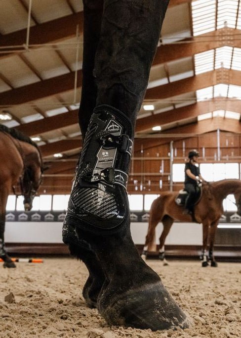 Veredus Carbon Gel Absolute Front Tendon Boots Black | Equiflair