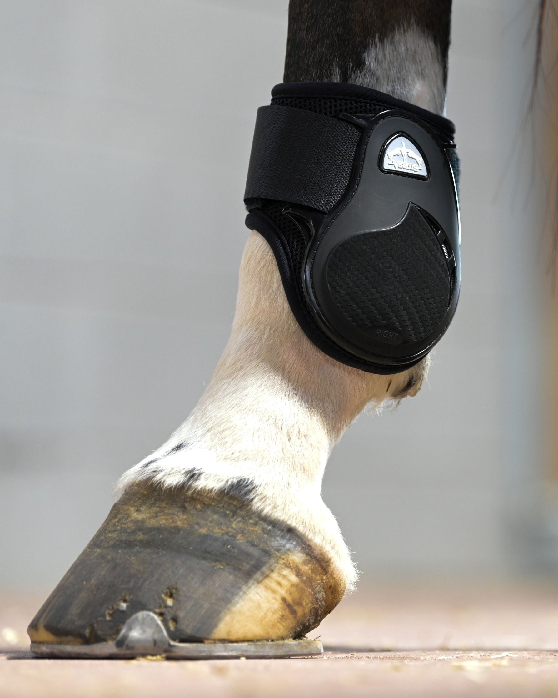 Veredus Young Jump Vento Fetlock Boots Black | Equiflair