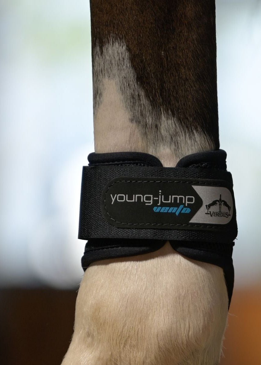Veredus Young Jump Vento Fetlock Boots Black | Equiflair