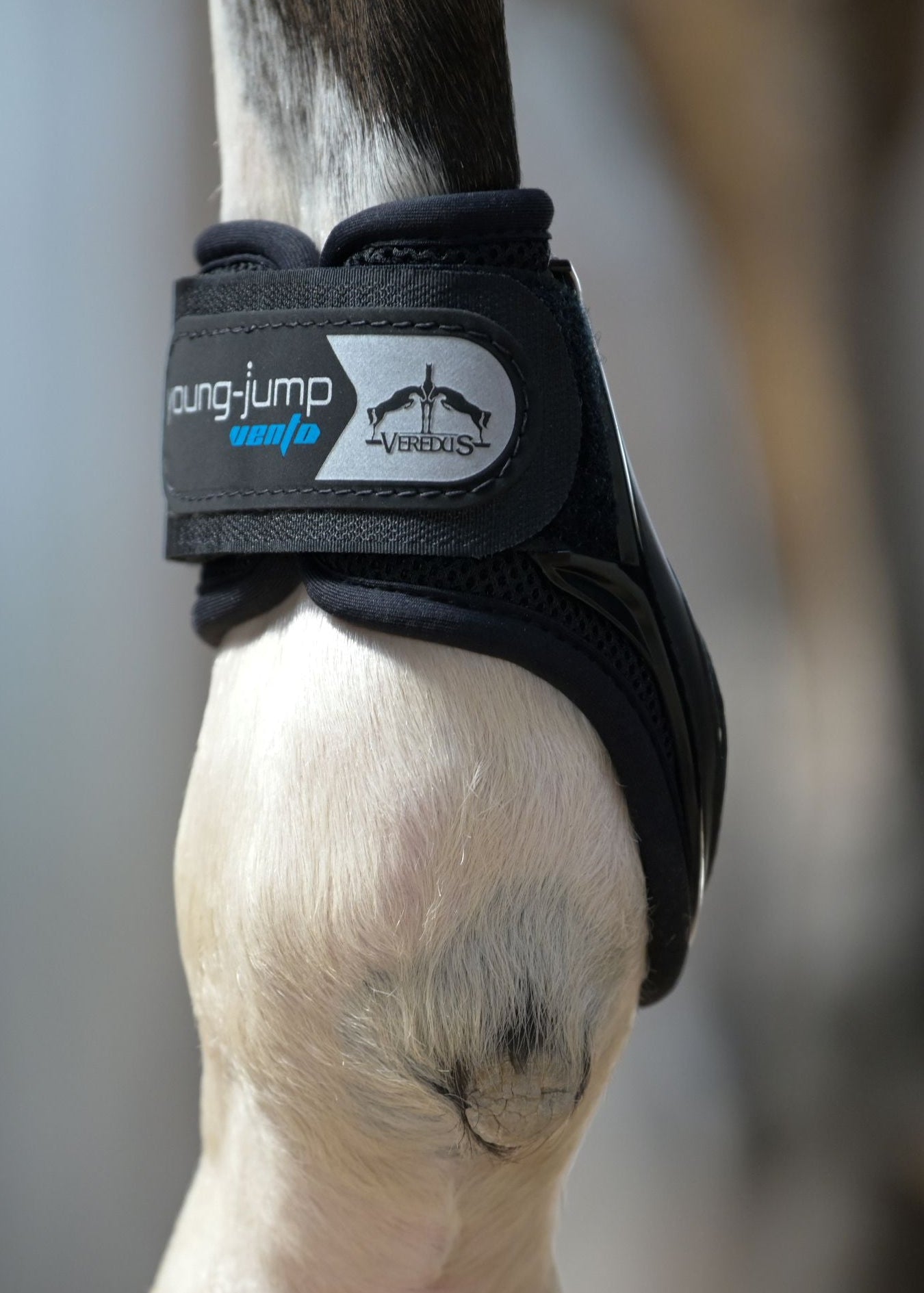 Veredus Young Jump Vento Fetlock Boots Black | Equiflair