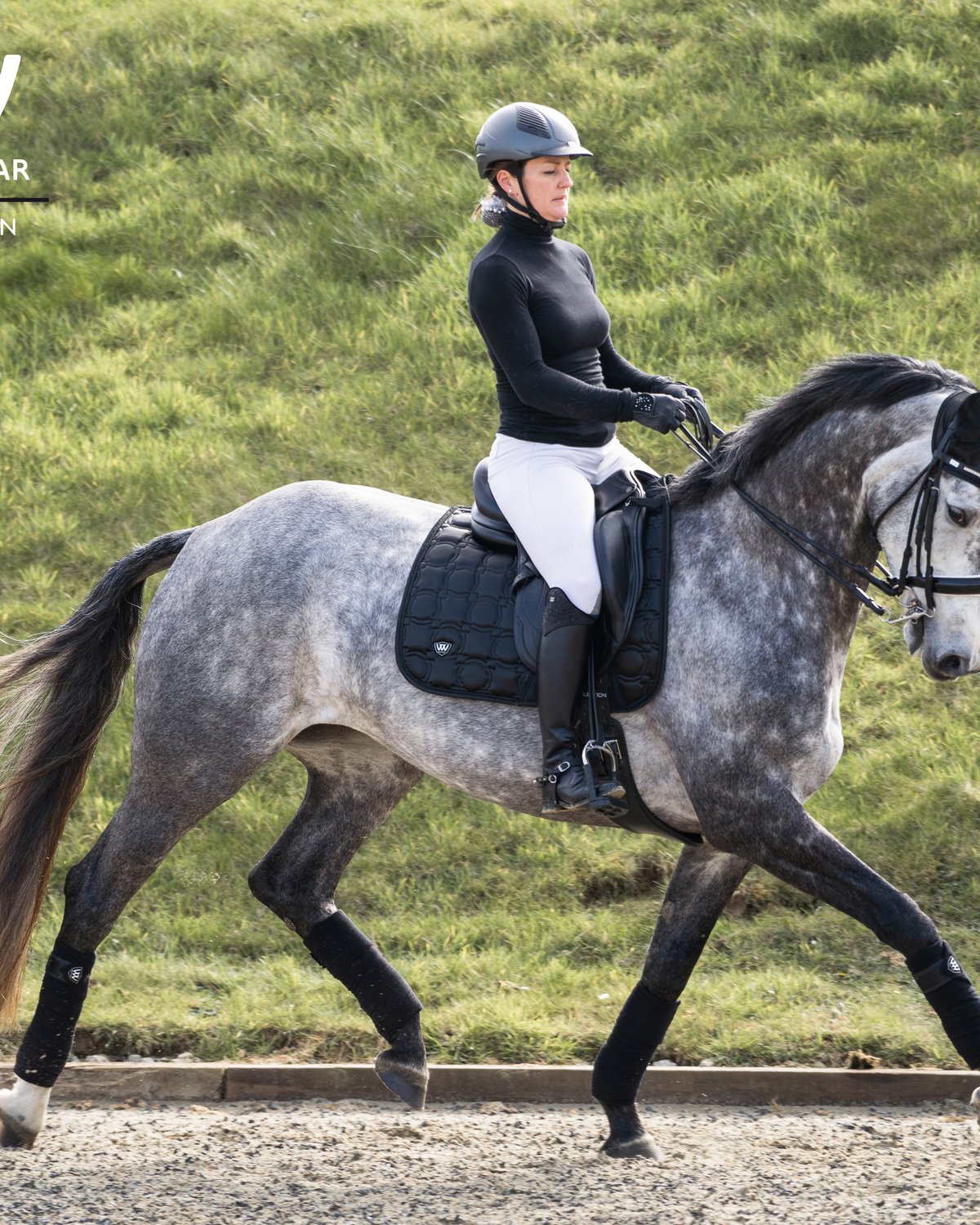 Woof Wear Vision Dressage Pad - Black. Equestrian Horse Riding Equipment