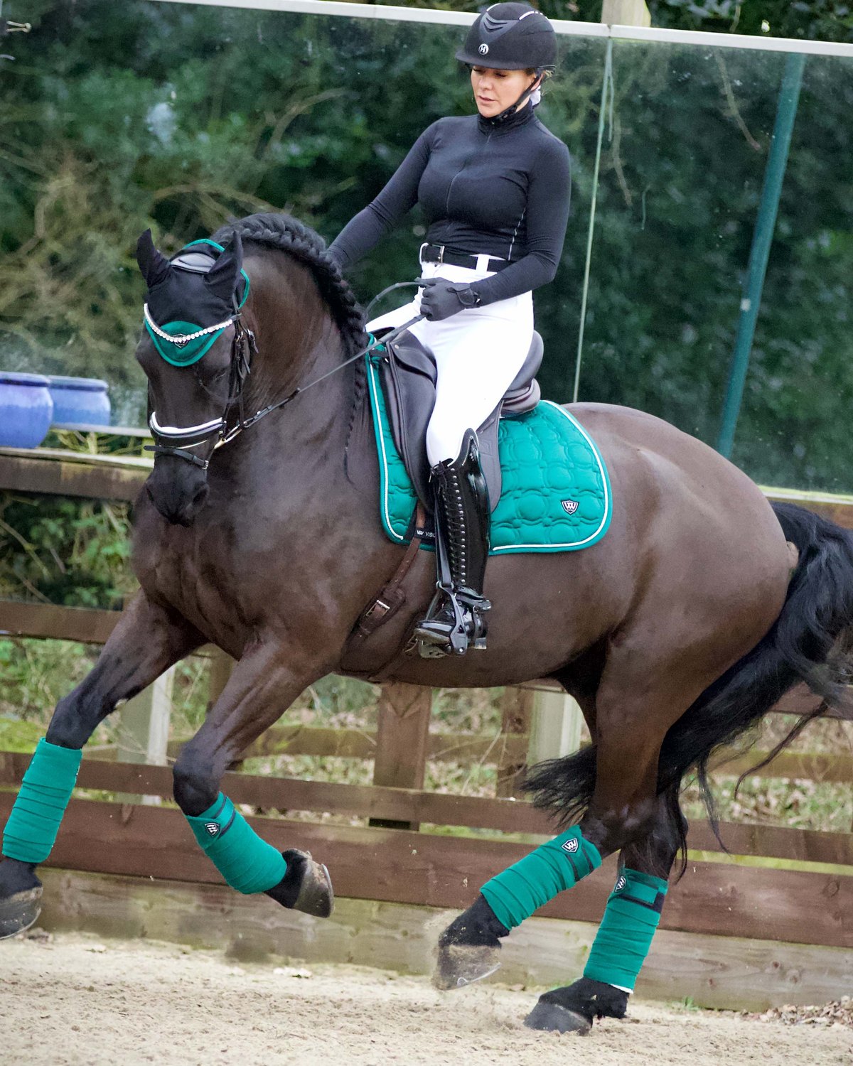 Horse and Rider in Dressage: Woof Wear Vision Pad British Racing Green - Elegance on Equiflair