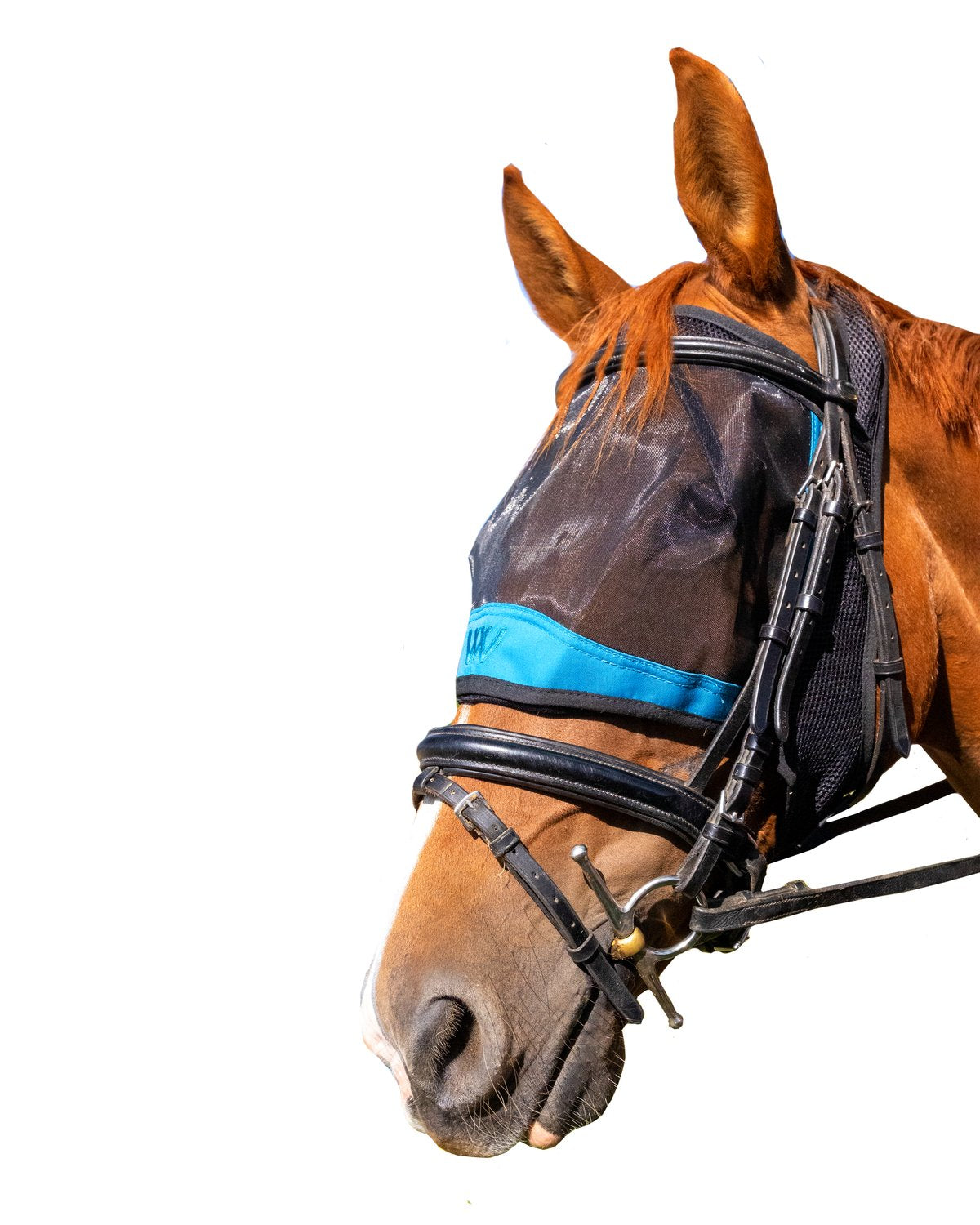 Woof Wear Ride On Fly Mask Black Turquoise