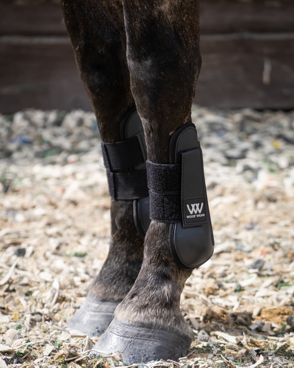 WOOF WEAR PRO TENDON BOOT BLACK: Horse Leg Protection, Equestrian Gear