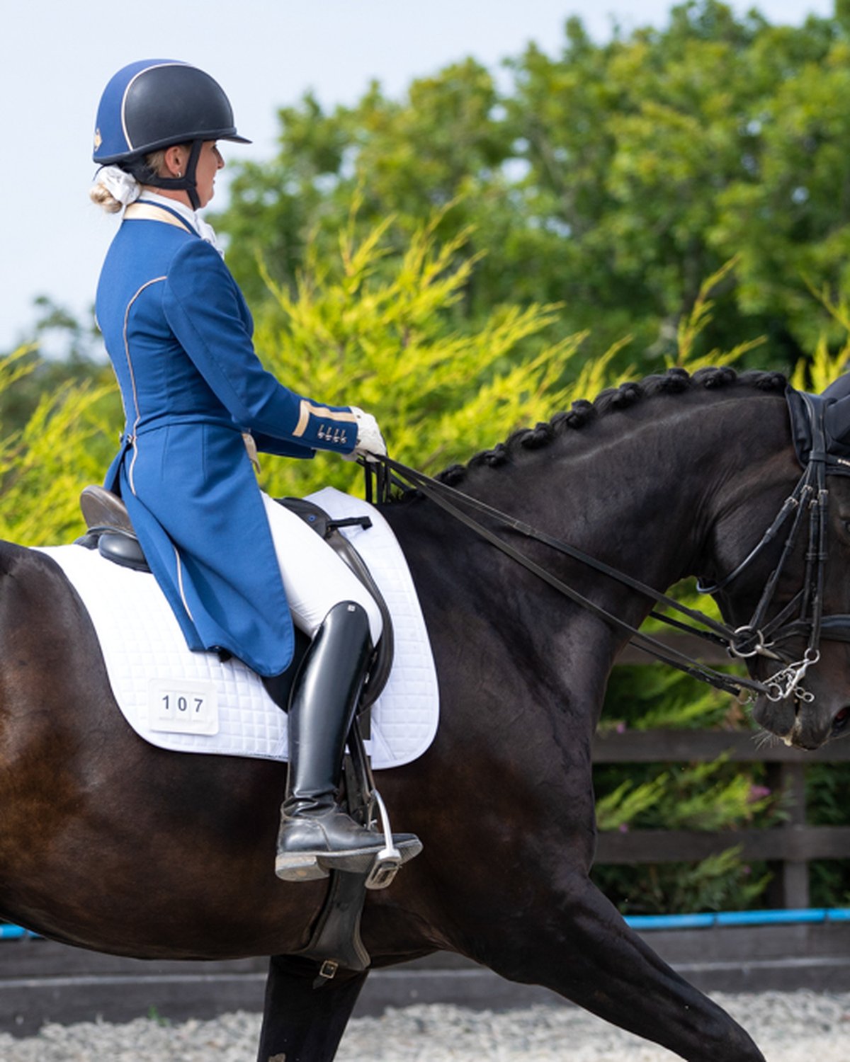Equestrian Dressage: Woof Wear Number Holder on Saddle Cloth - #107 visible